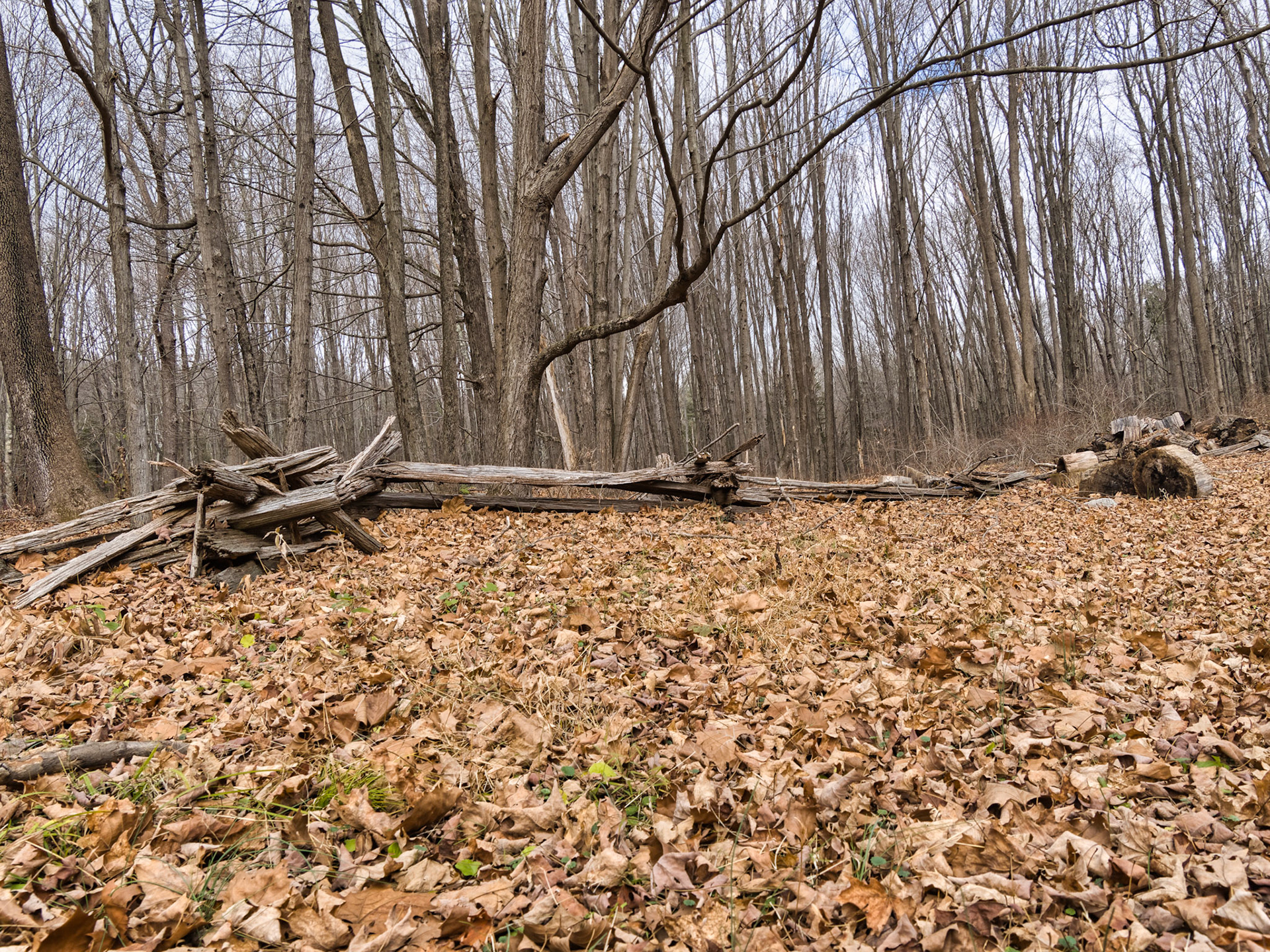 NJ Historic Towns 00027