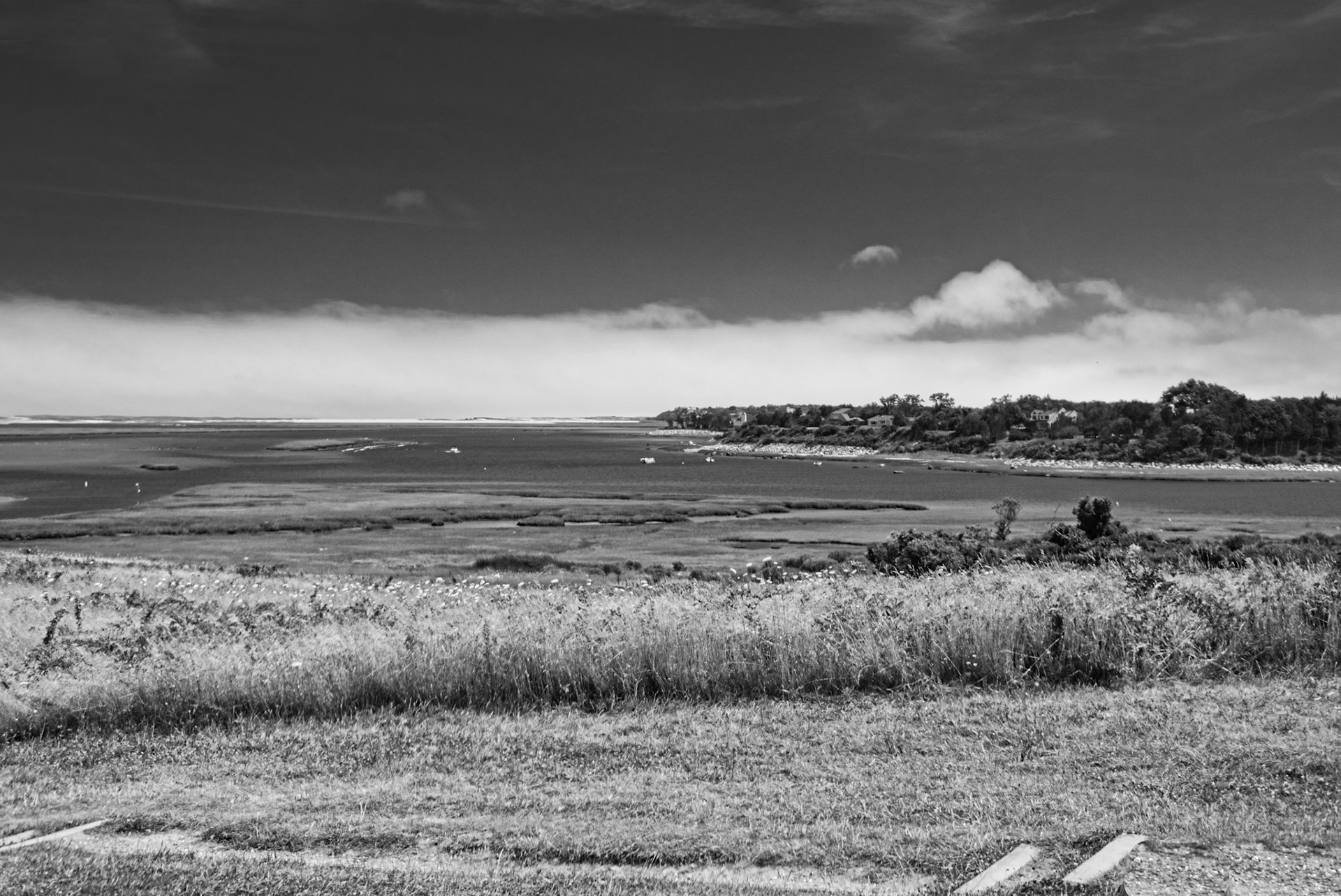 Black & White 00292