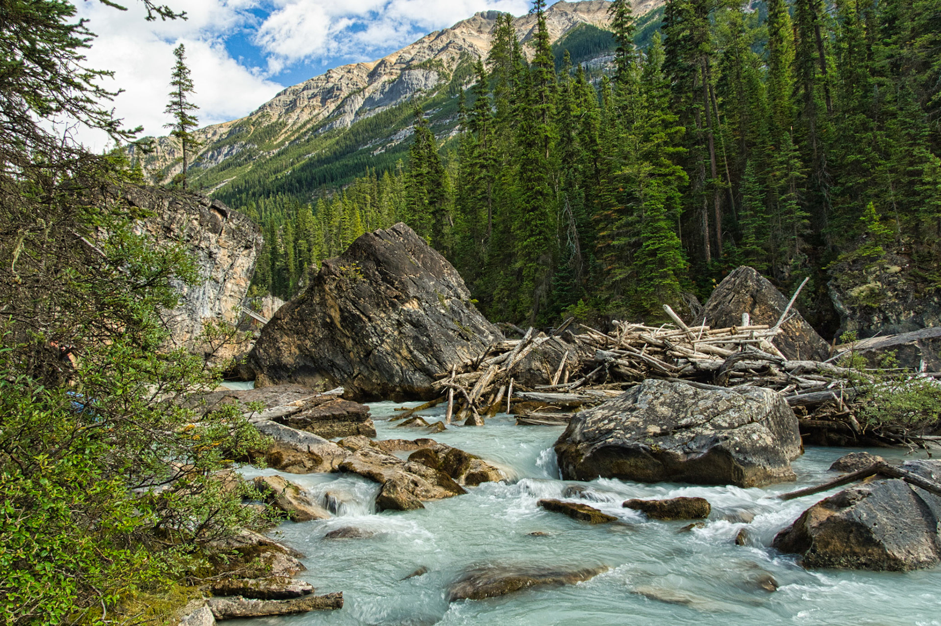 Canada Alberta 00023