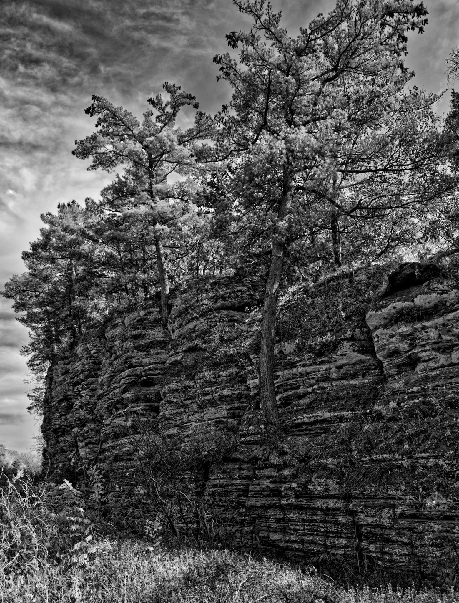 Black & White 00234