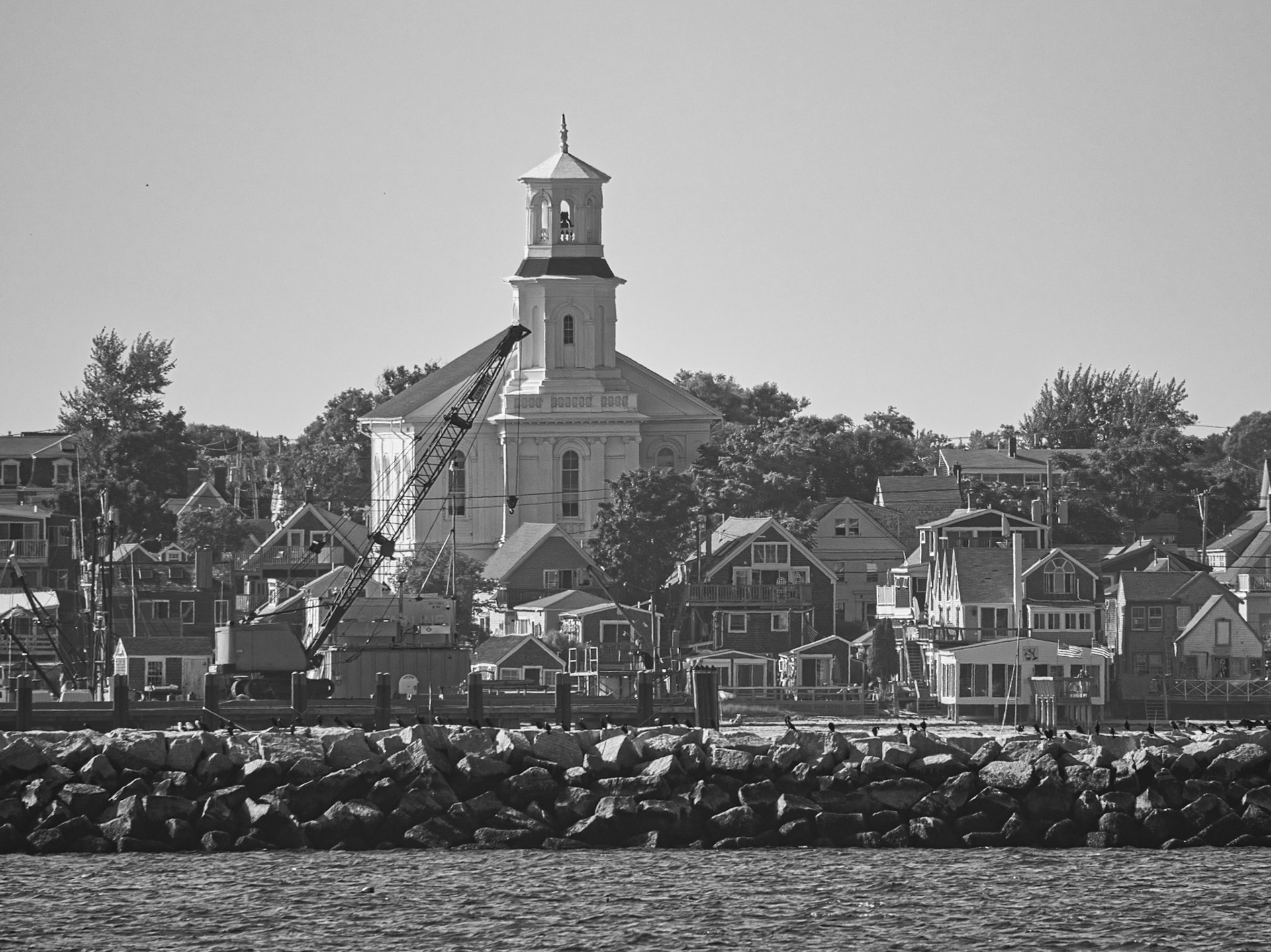 Black & White 00305