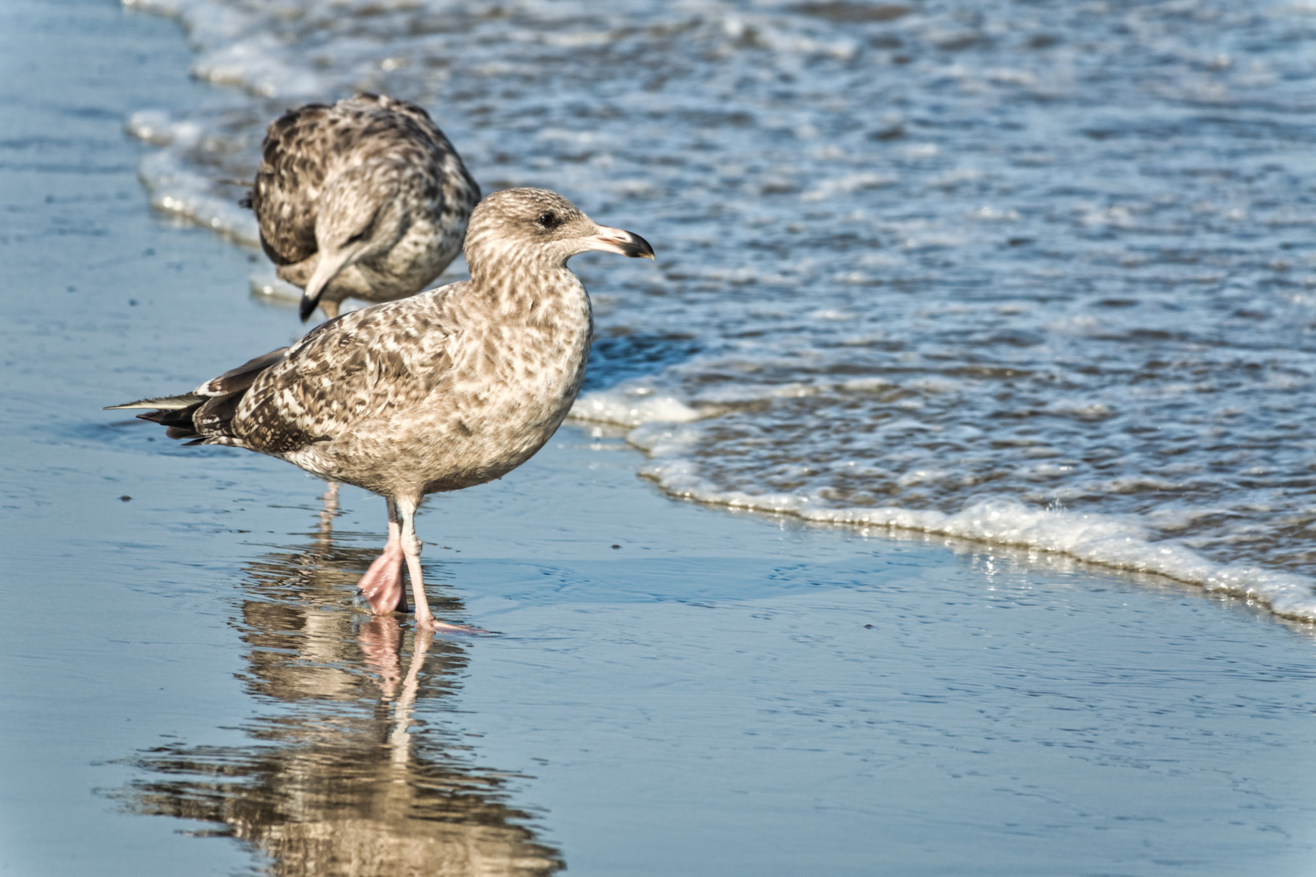 NJ Shore 00020
