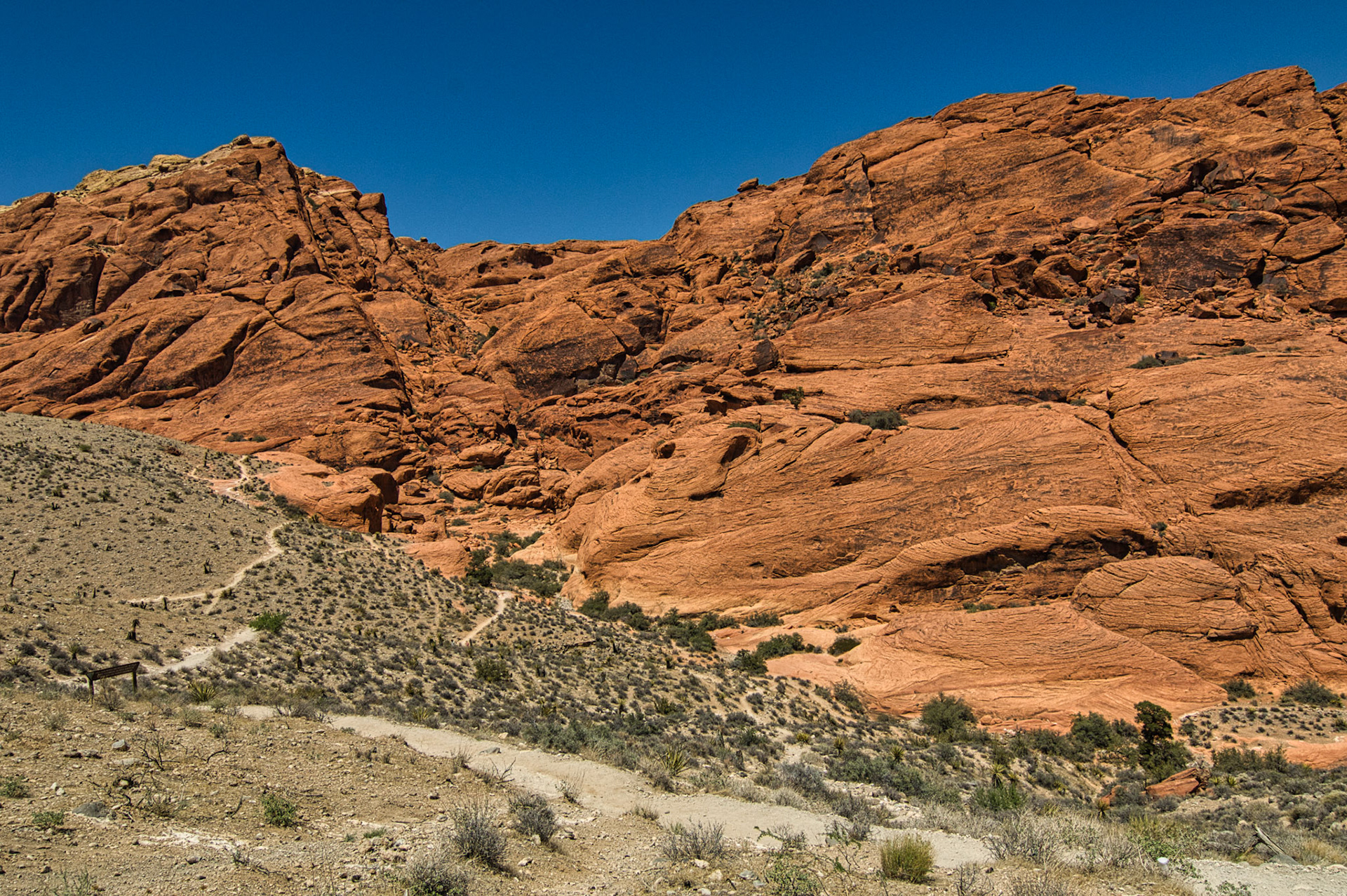 NV Desert 00019