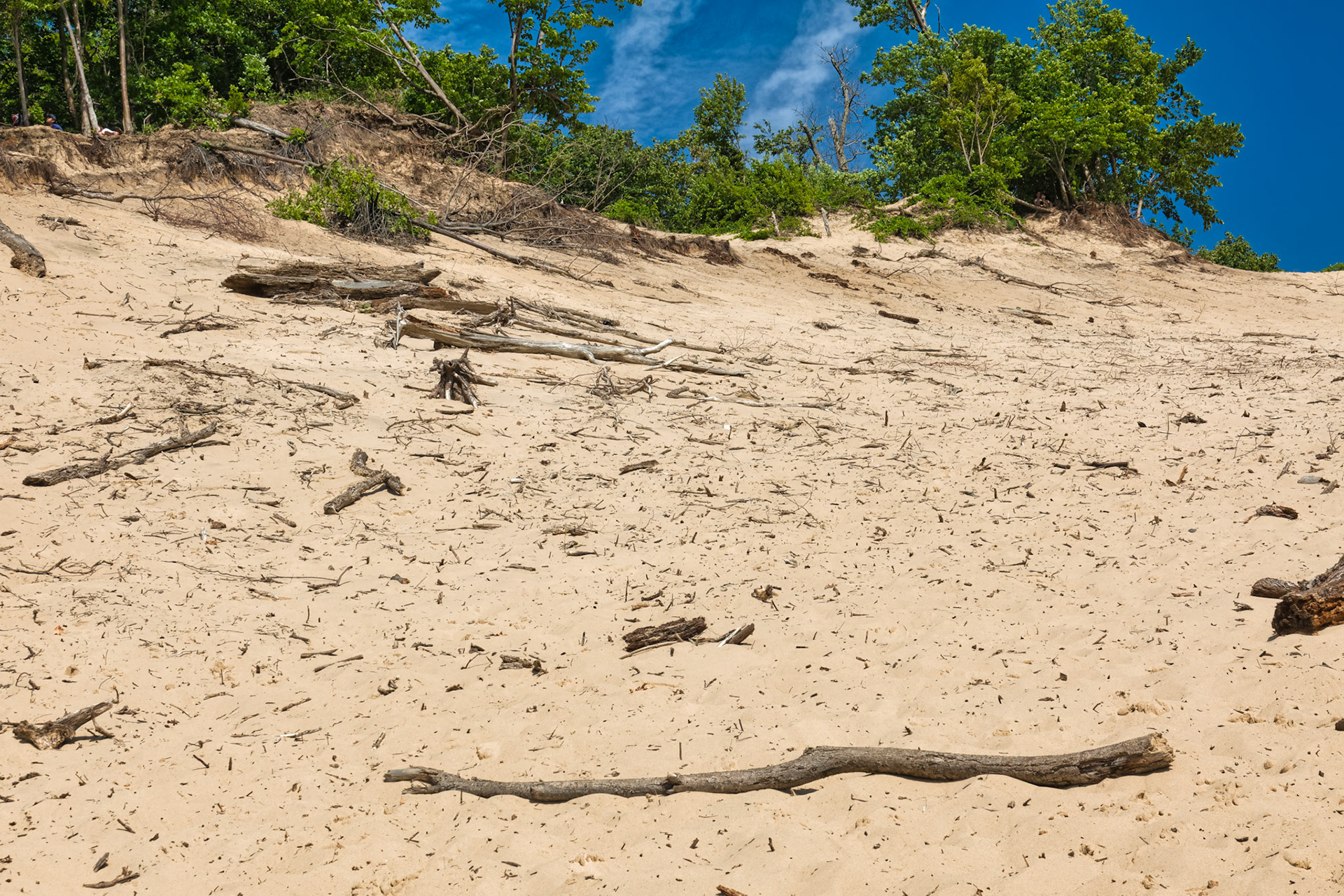 MI Dunes 00083