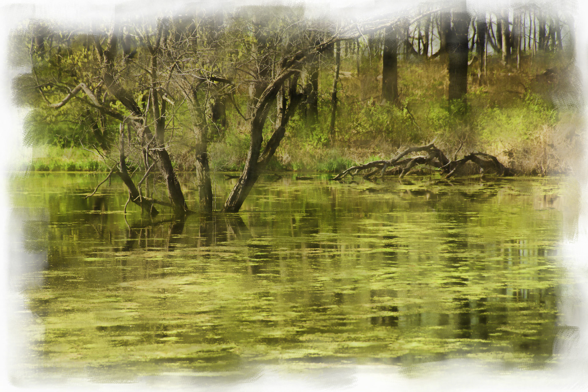 Paintings 00181