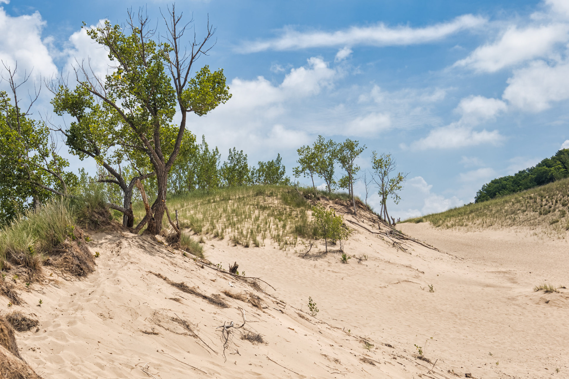 MI Dunes 00008