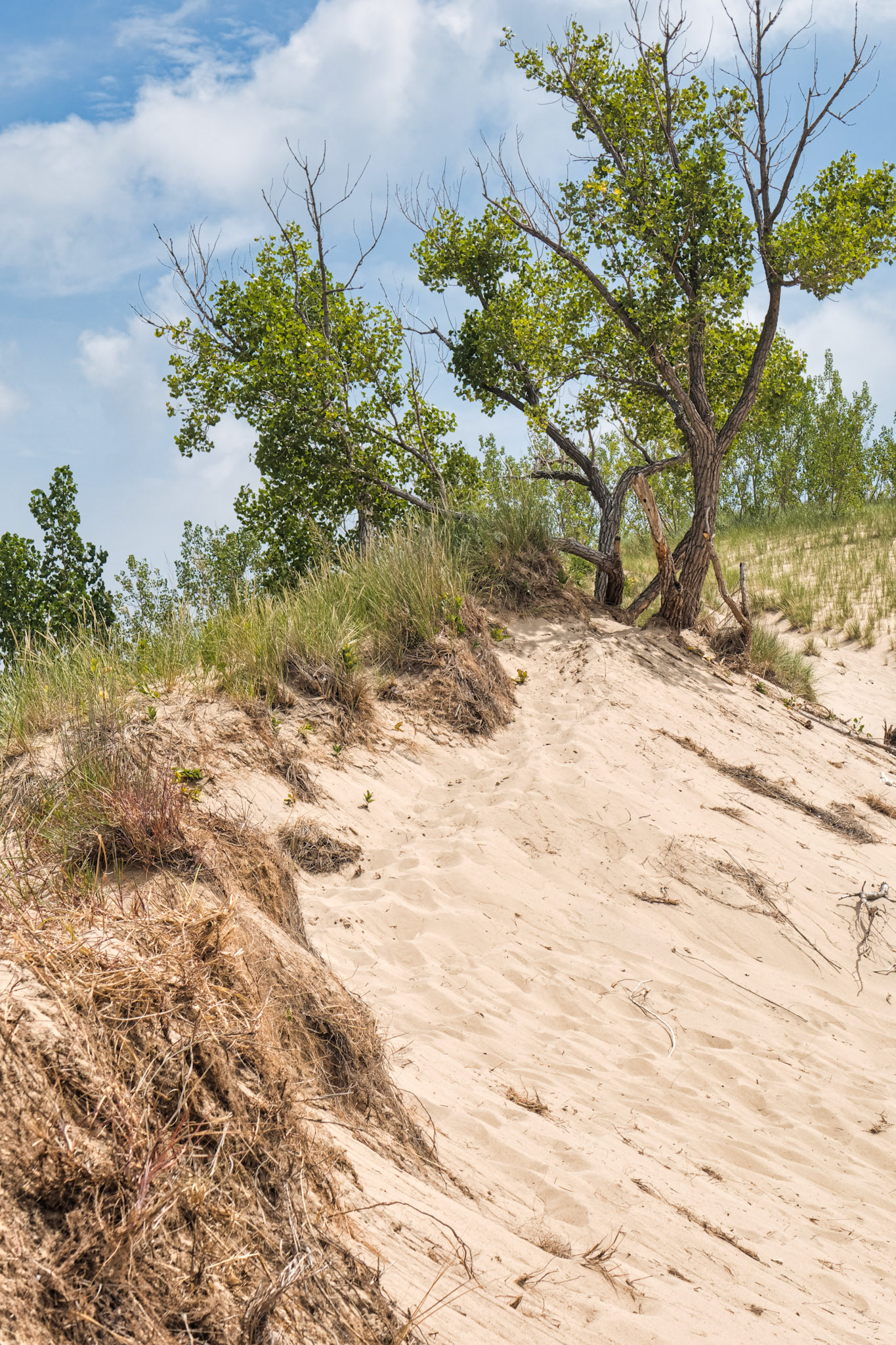 MI Dunes 00004