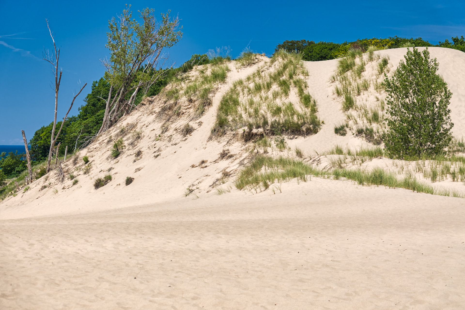 MI Dunes 00046