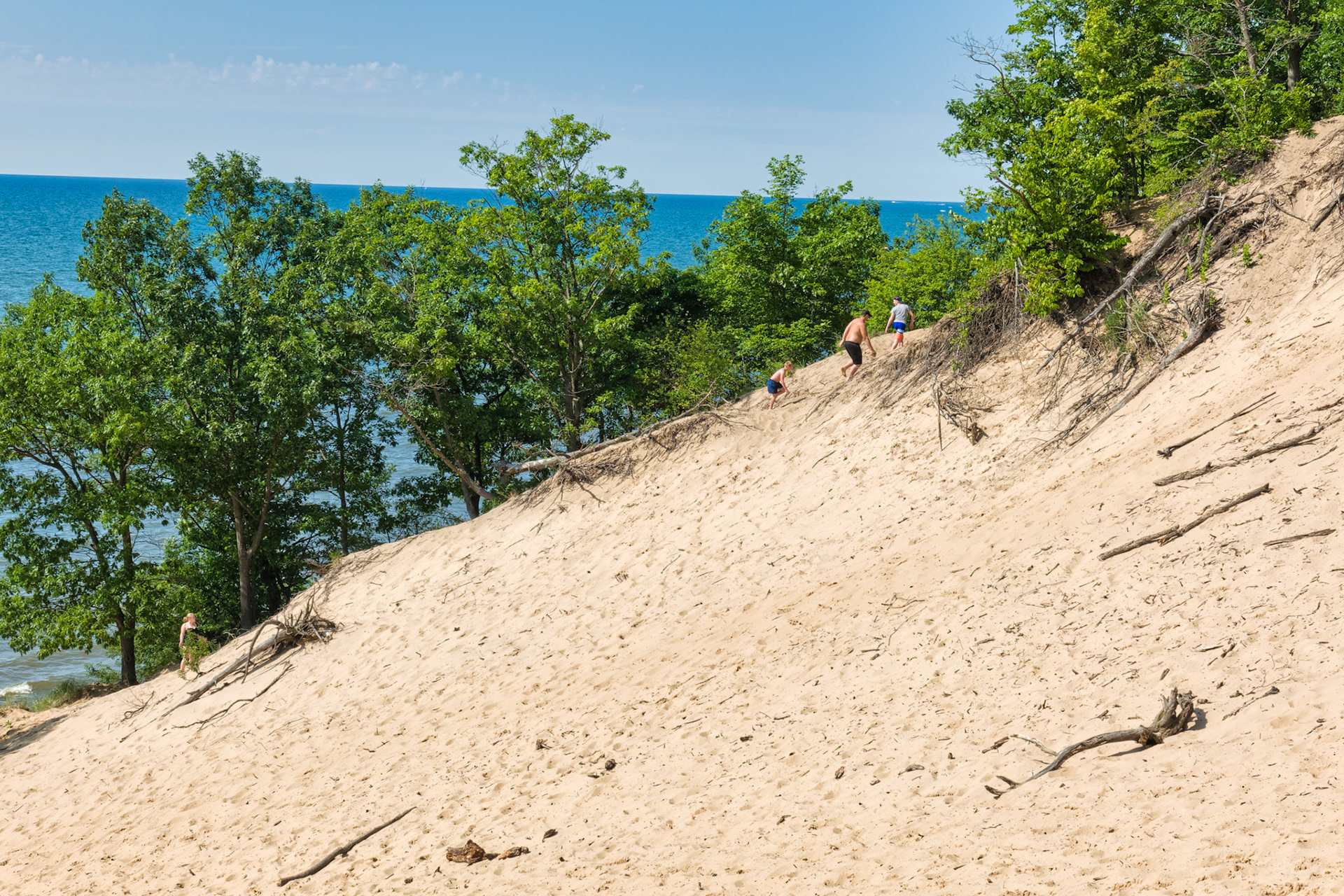 MI Dunes 00087