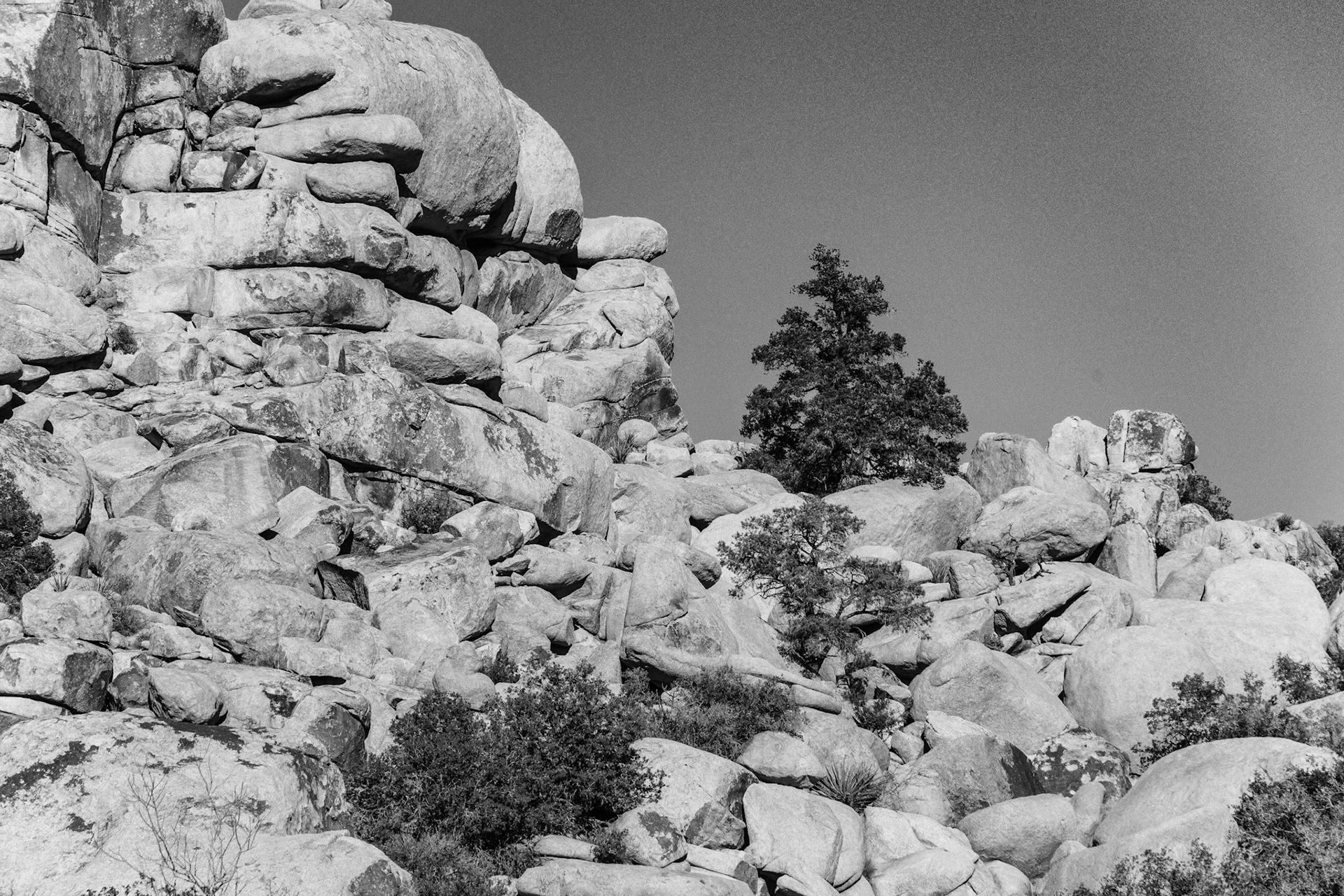 Black & White 00096