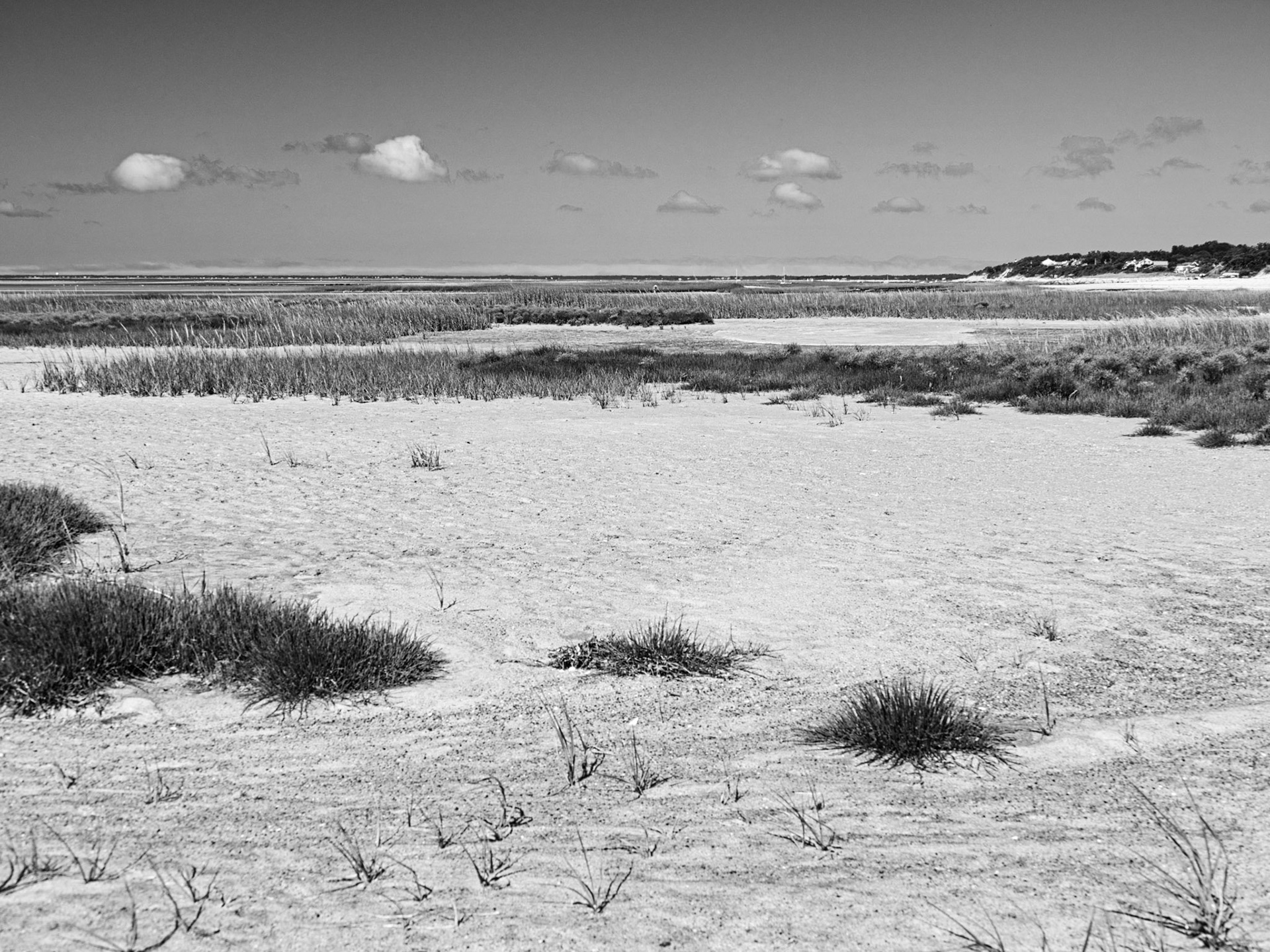 Black & White 00278