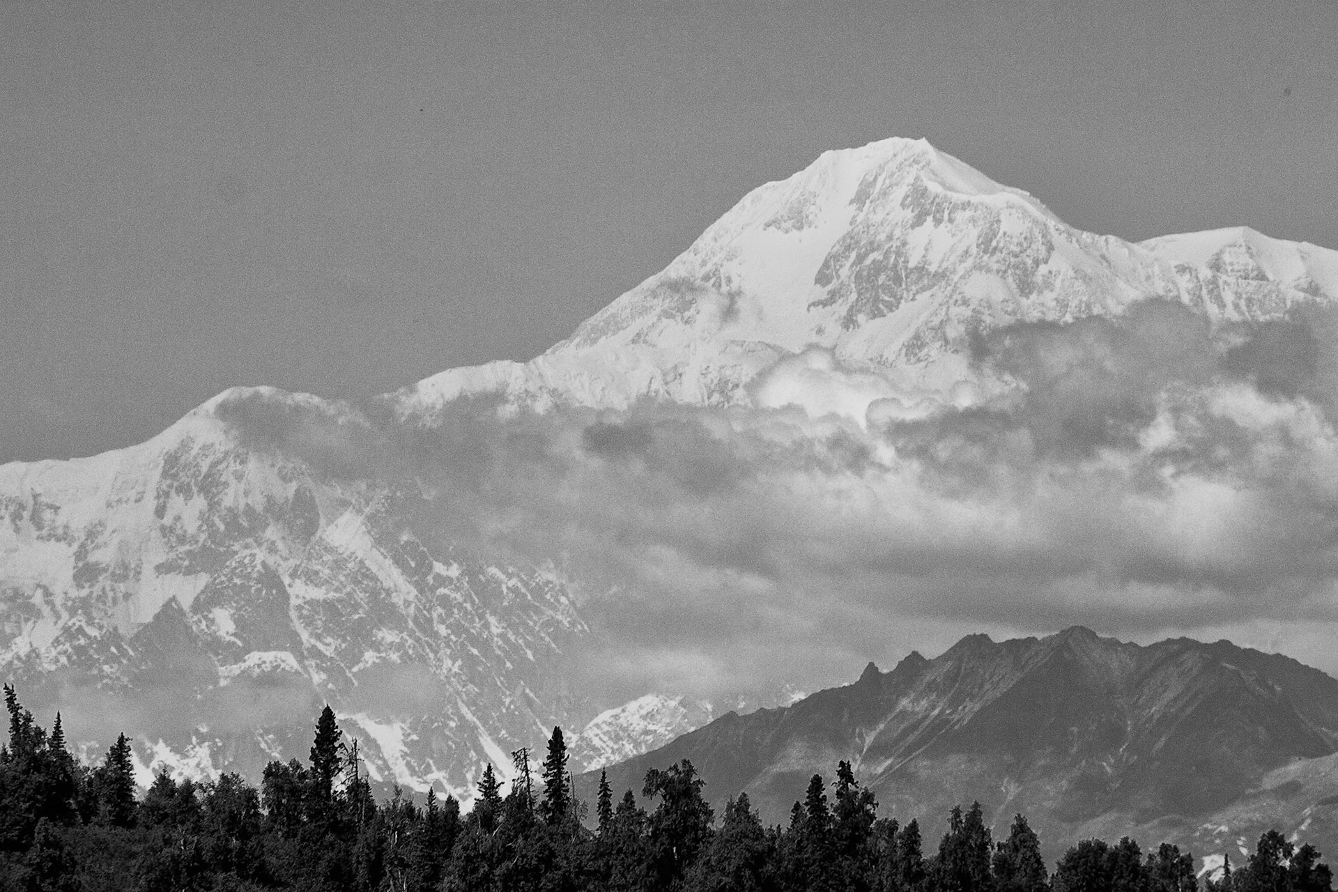 Black & White 00066