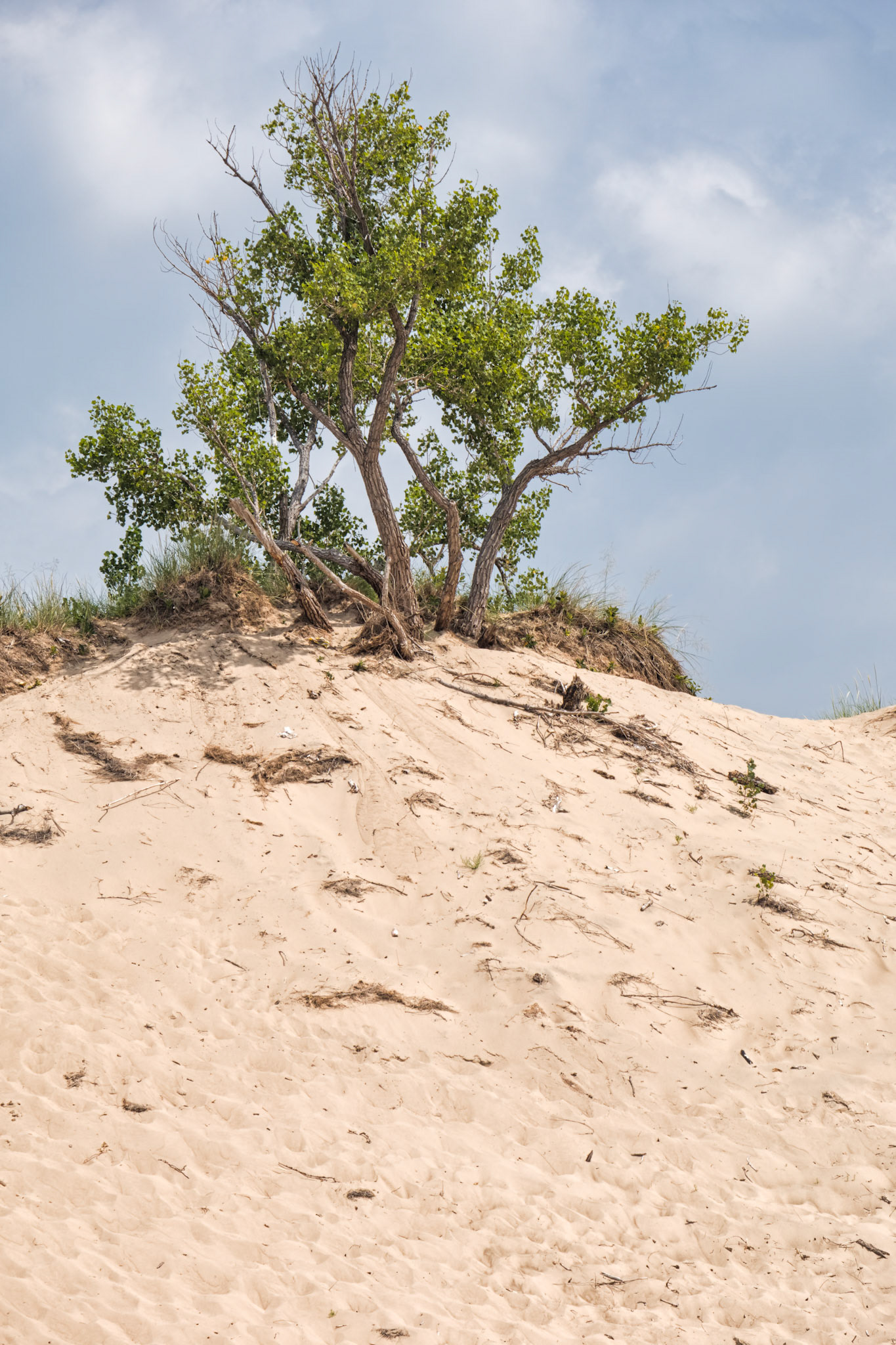 MI Dunes 00015