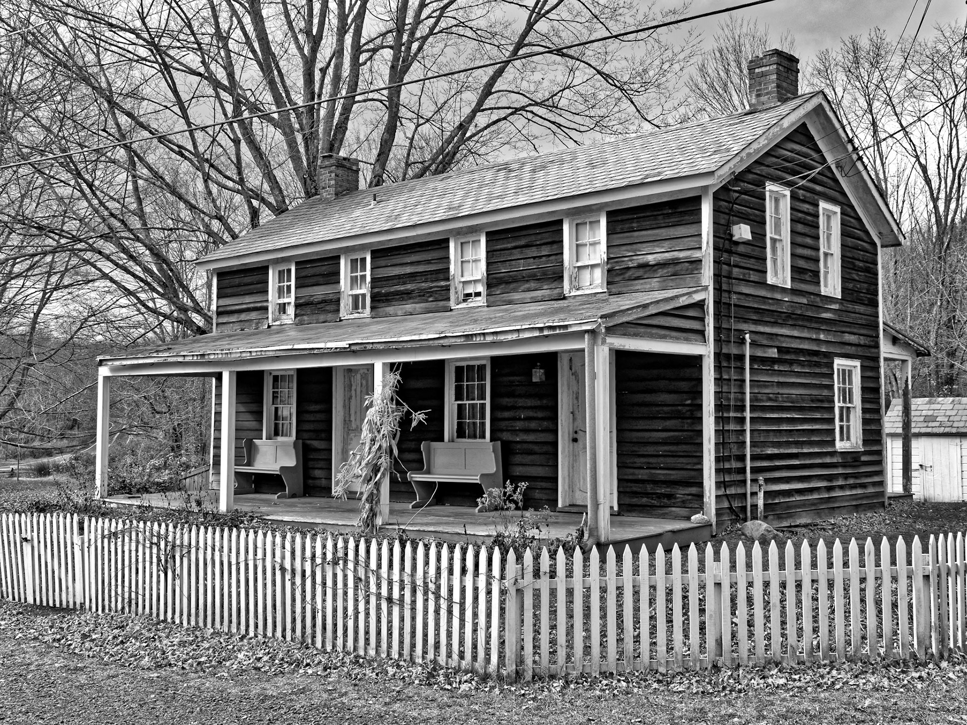 Black & White 00014