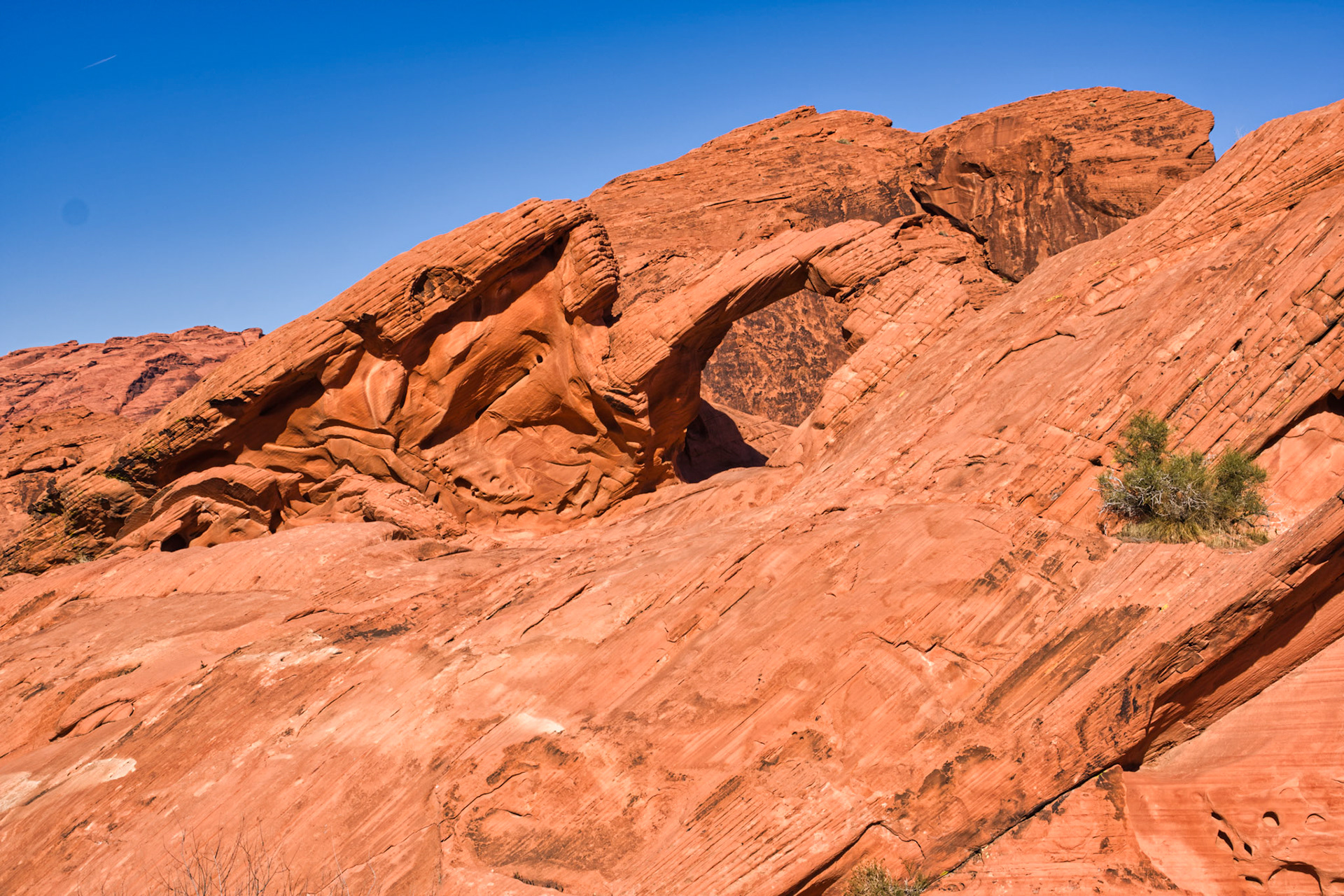 NV Desert 00072