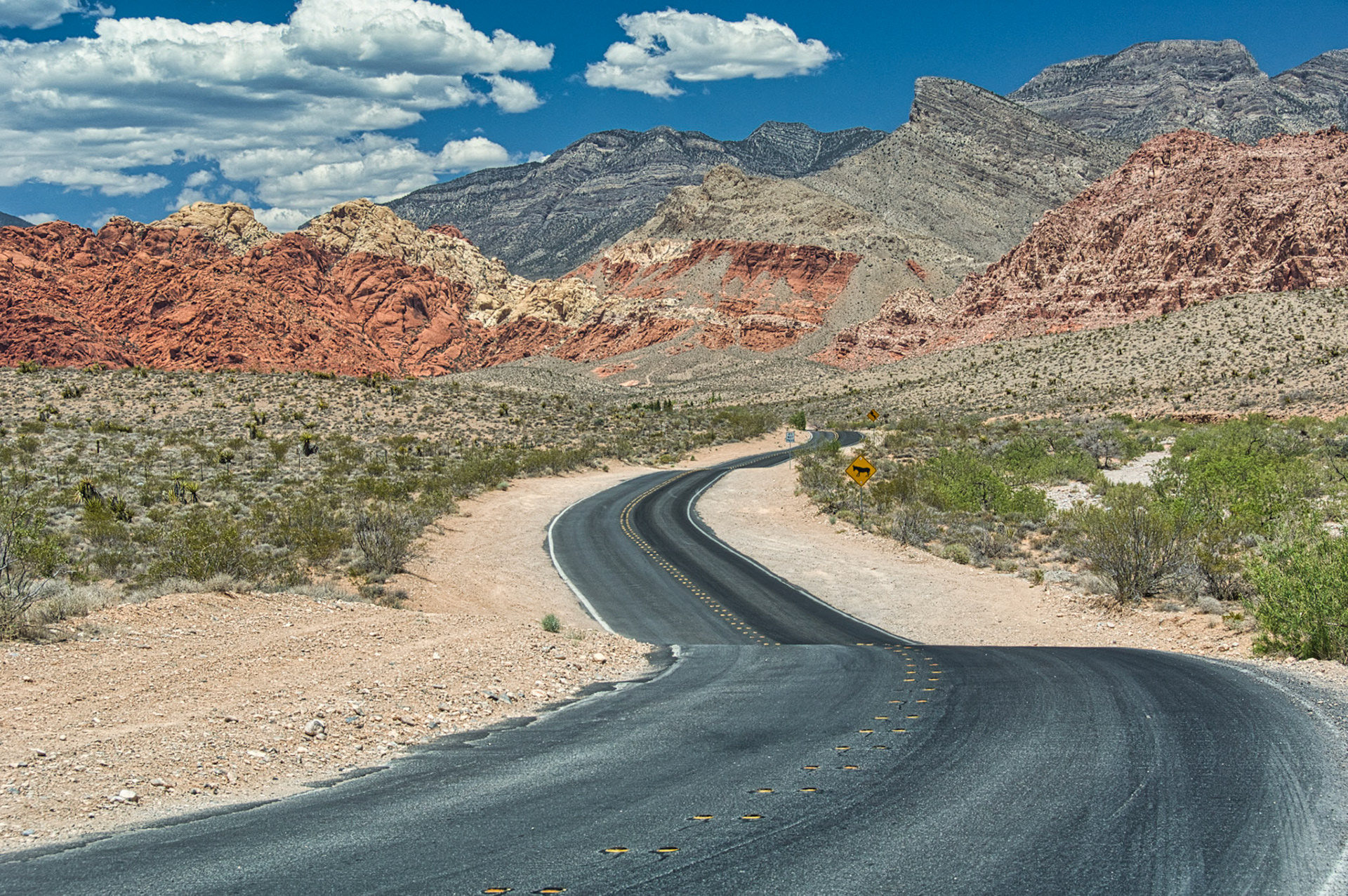 NV Desert 00007