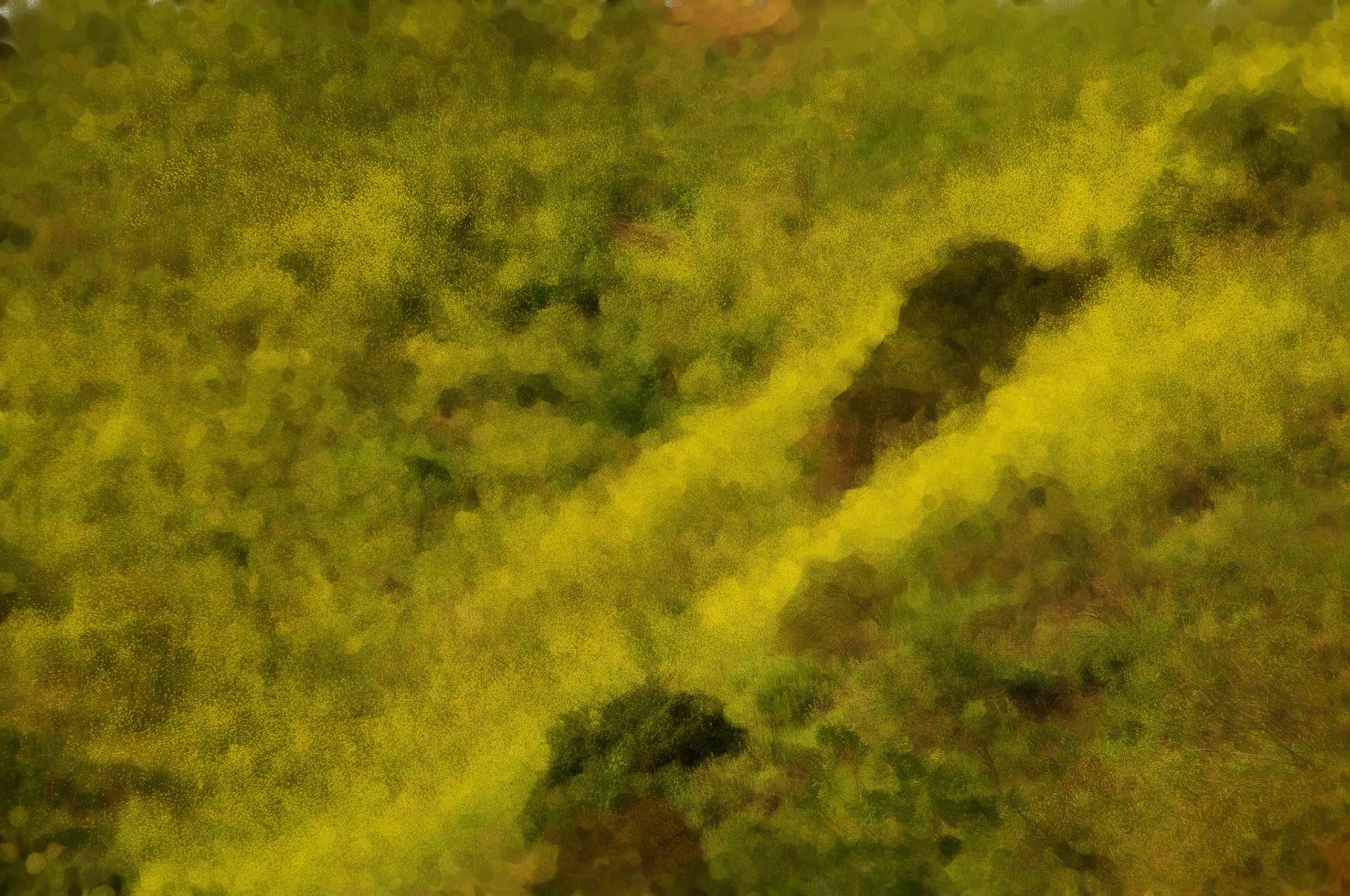 Paintings 00130