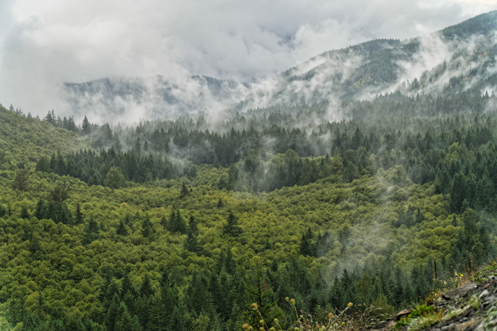 OR Mt Hood 00001