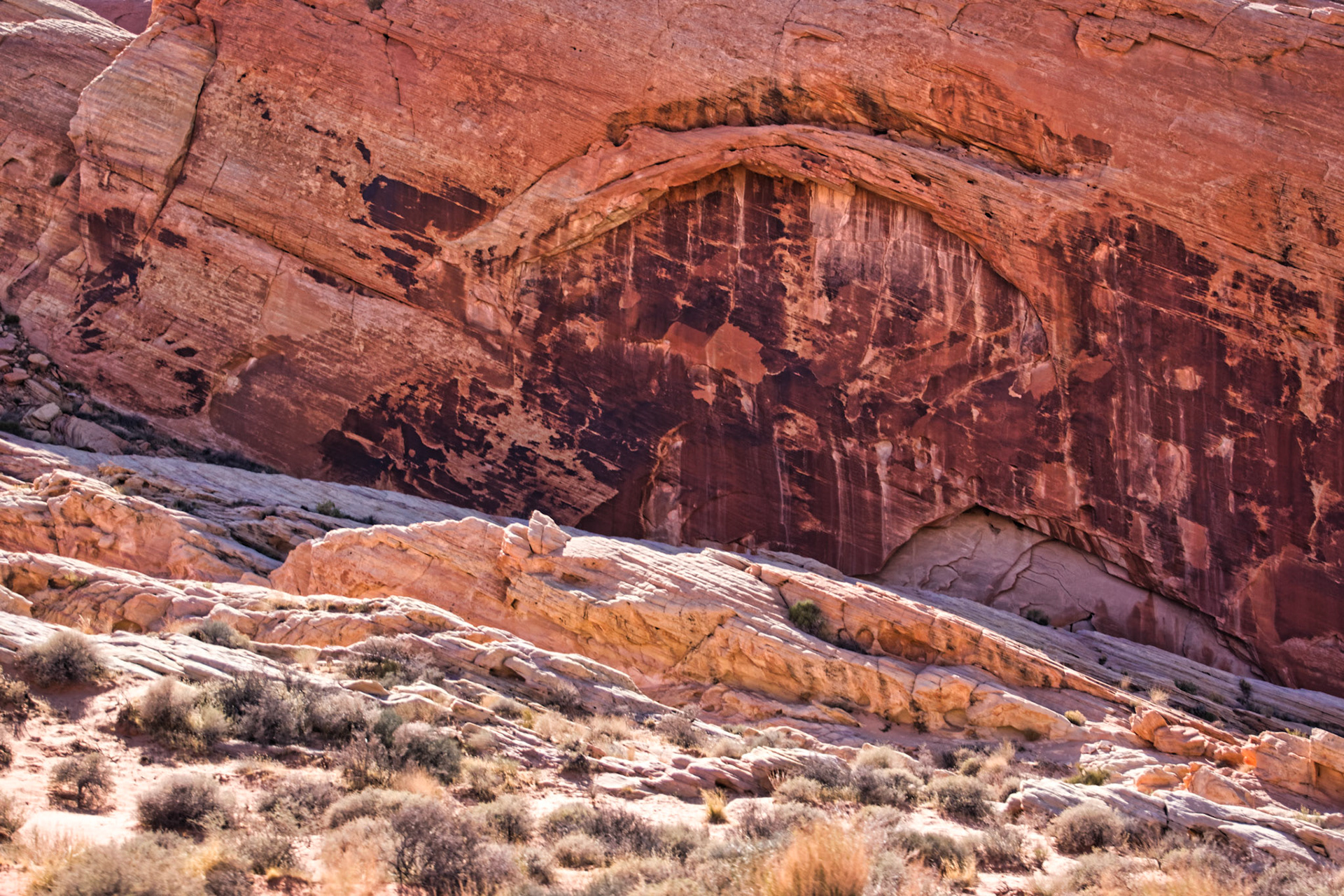 NV Desert 00101