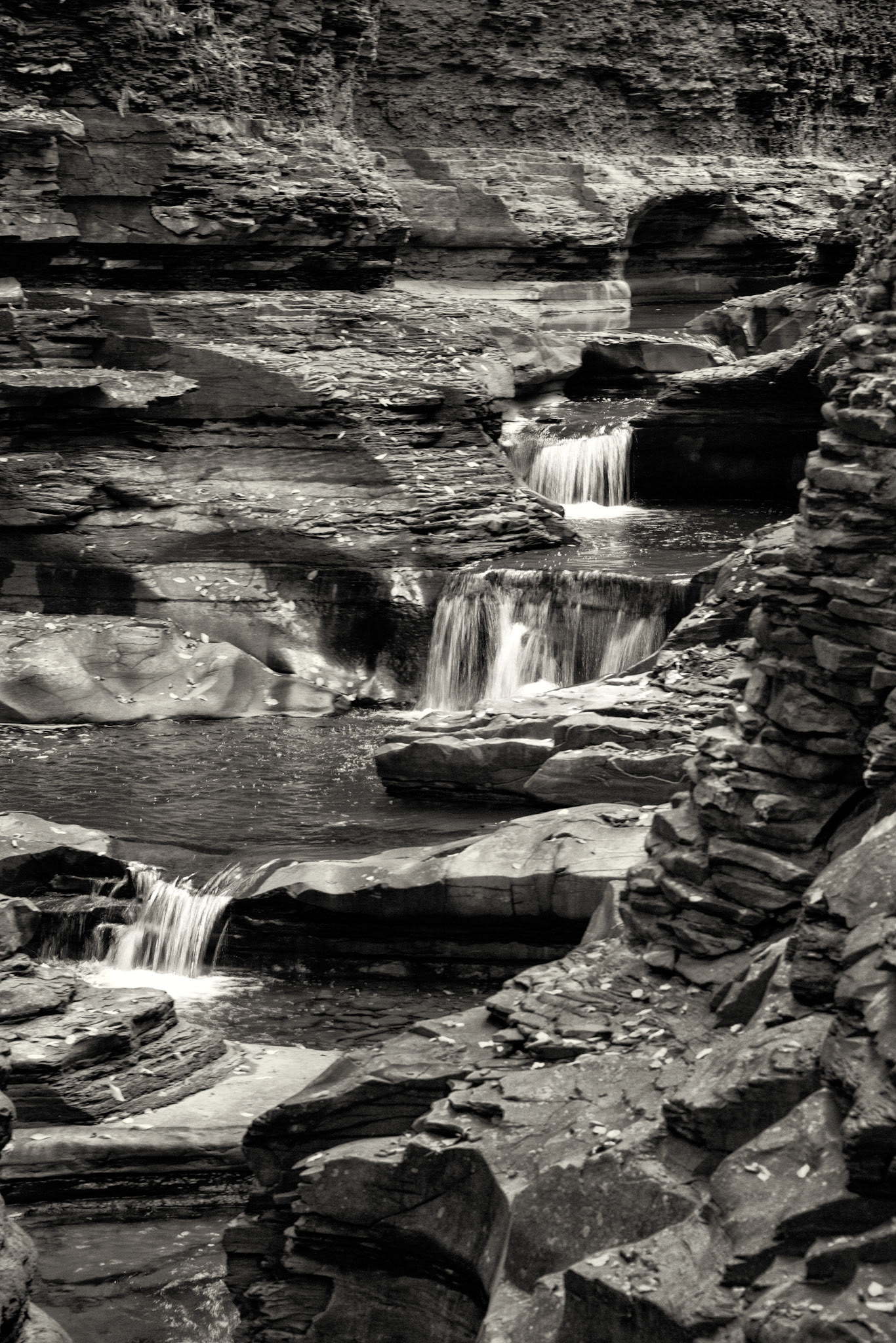 Black & White 00222
