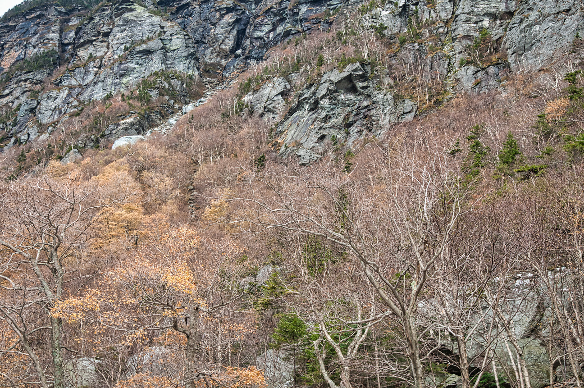 VT Miscellaneous 00033