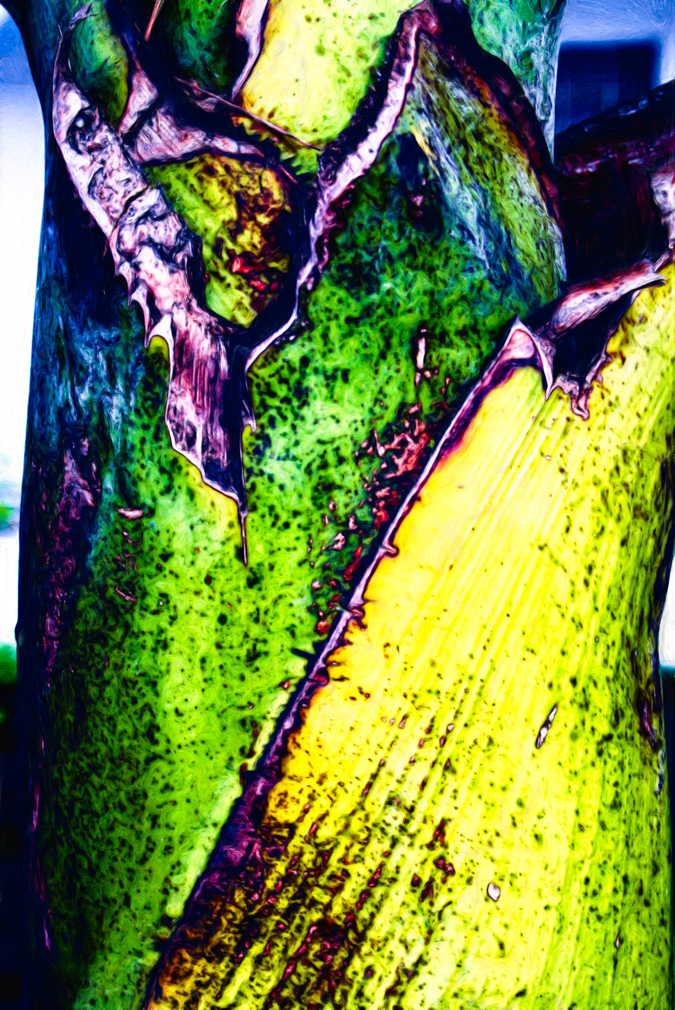 Paintings 00345