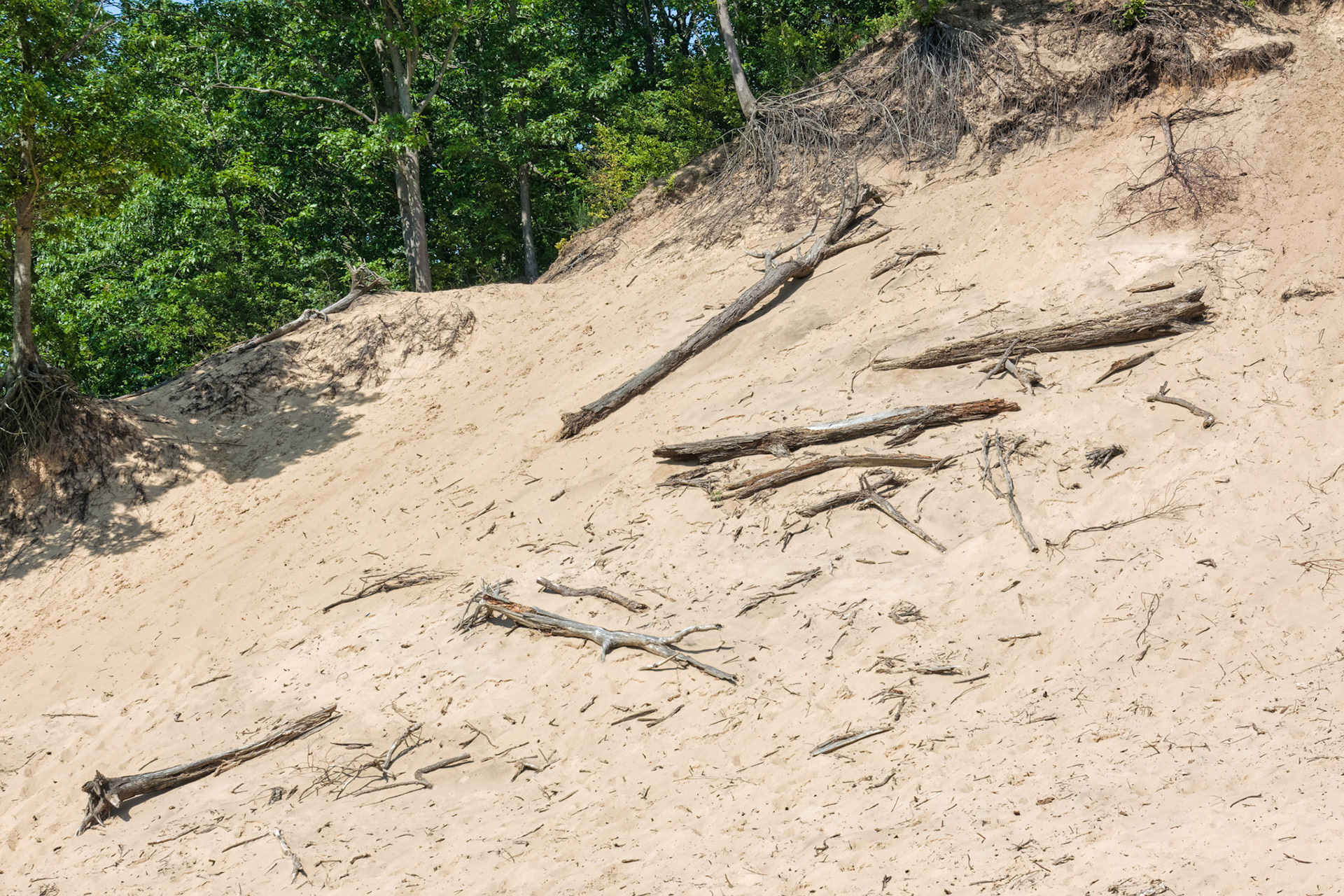 MI Dunes 00086