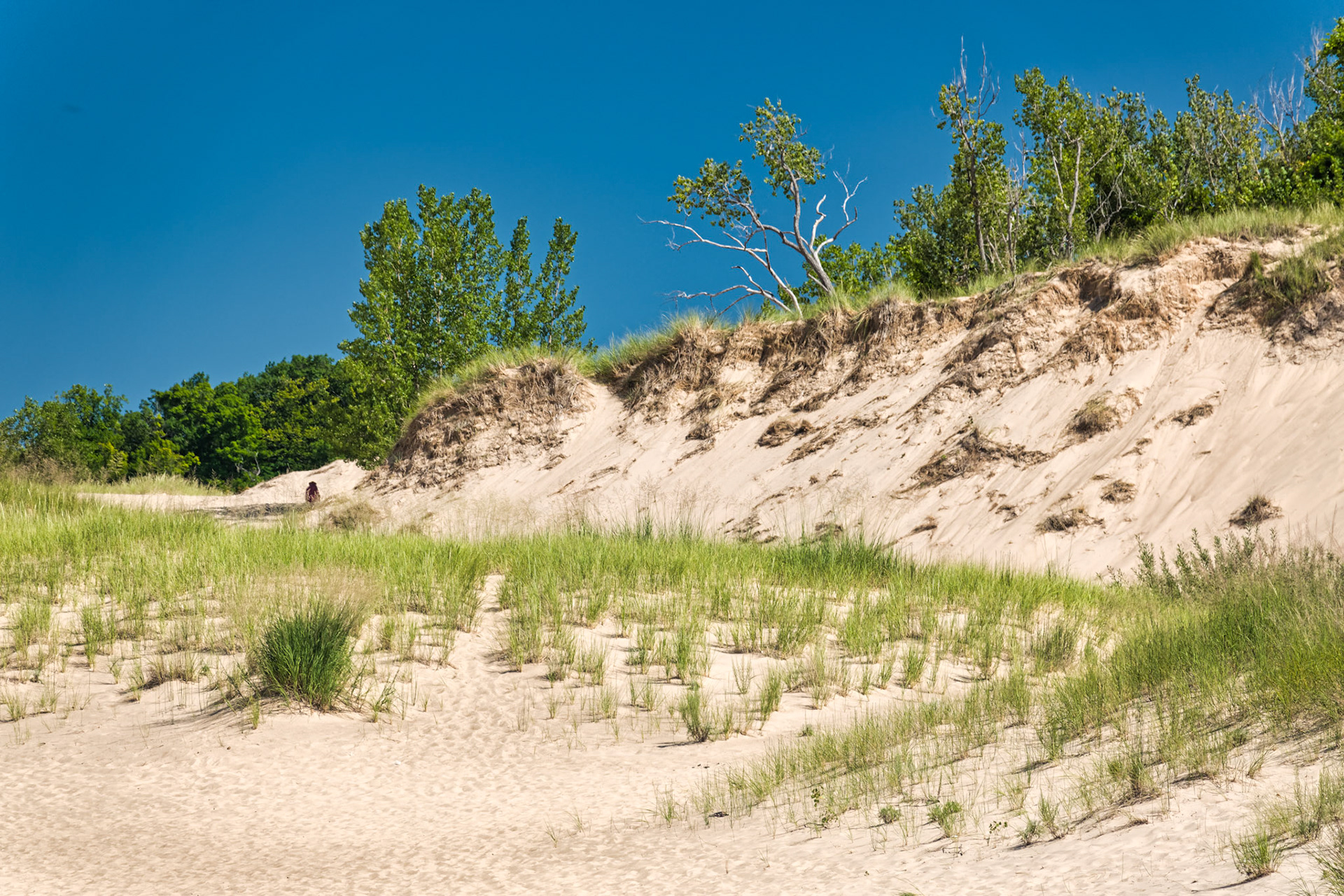 MI Dunes 00055