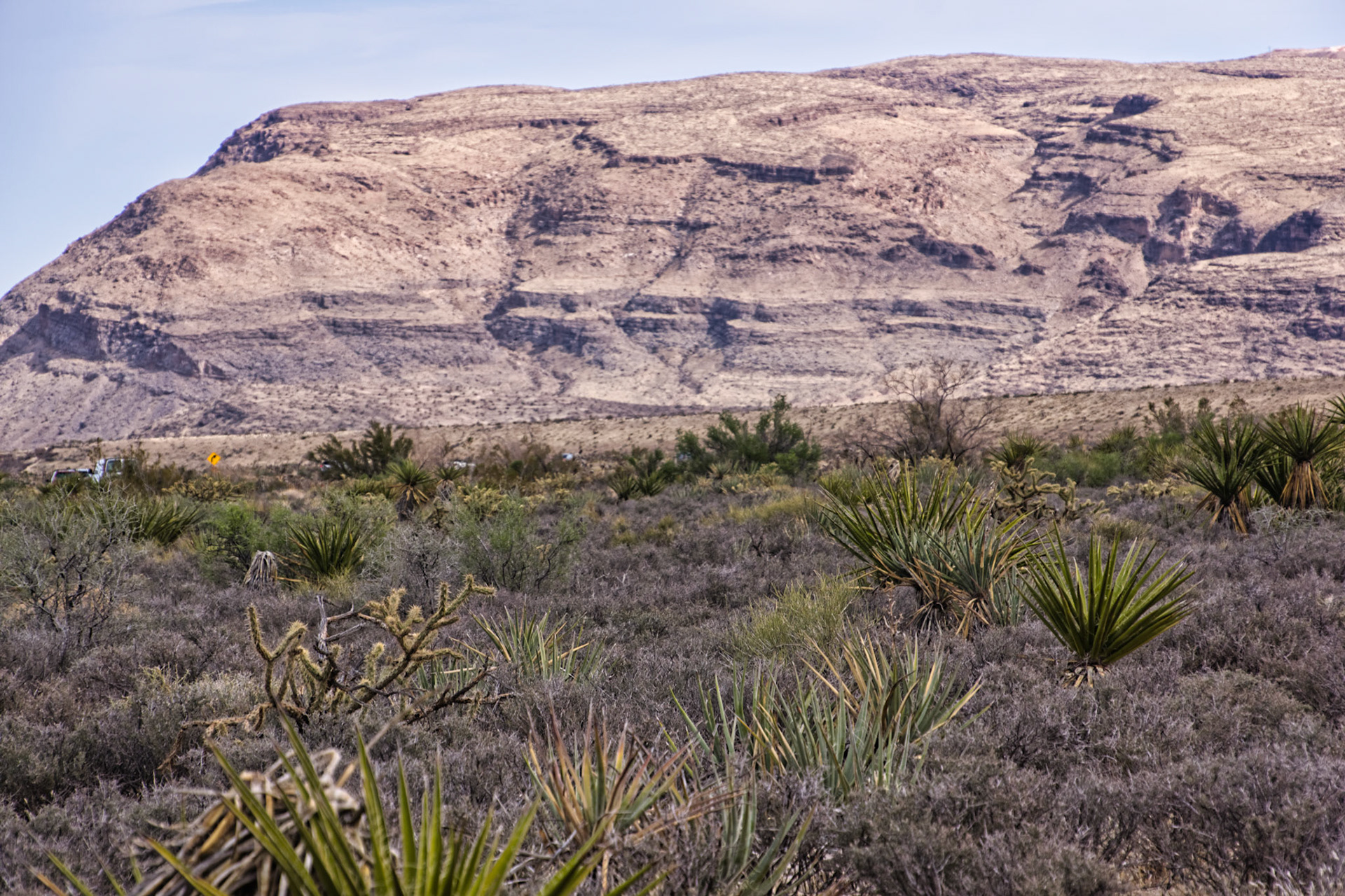 NV Desert 00167