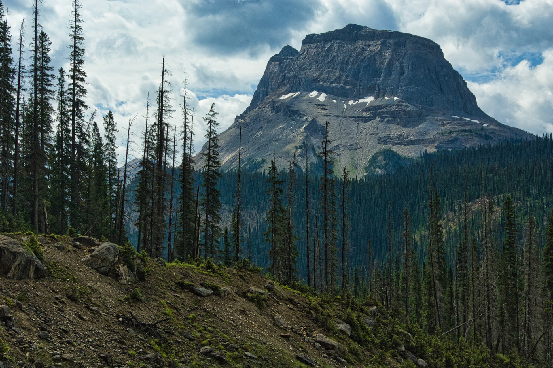 Canada Alberta 00013