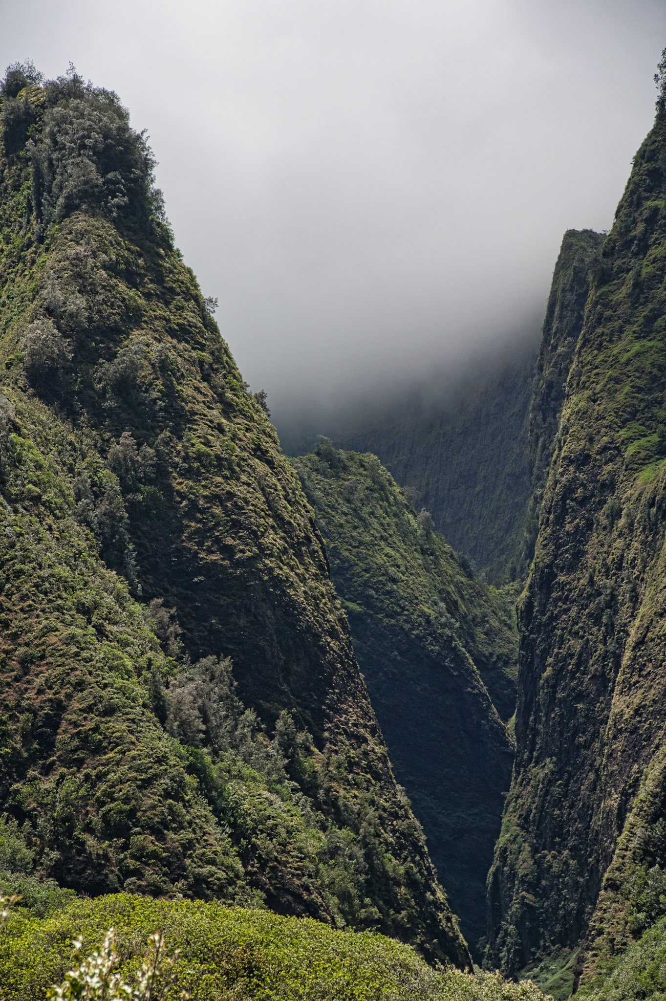 Hawaii Maui 00050