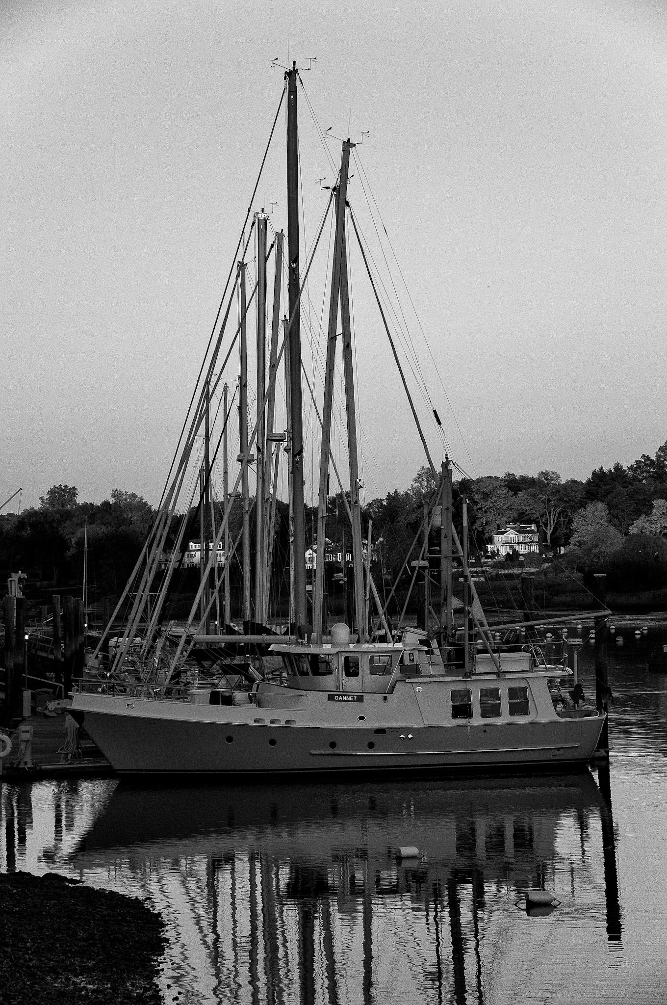 Black & White 00244