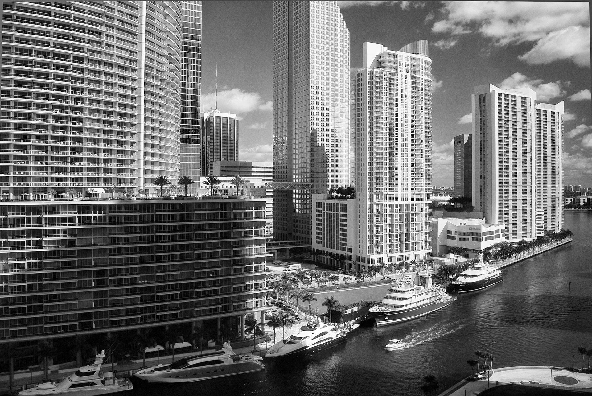 Black & White 00140