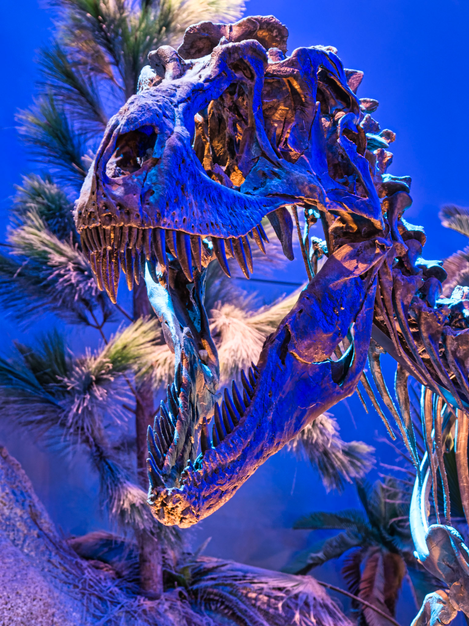 IN Science Museum 00003