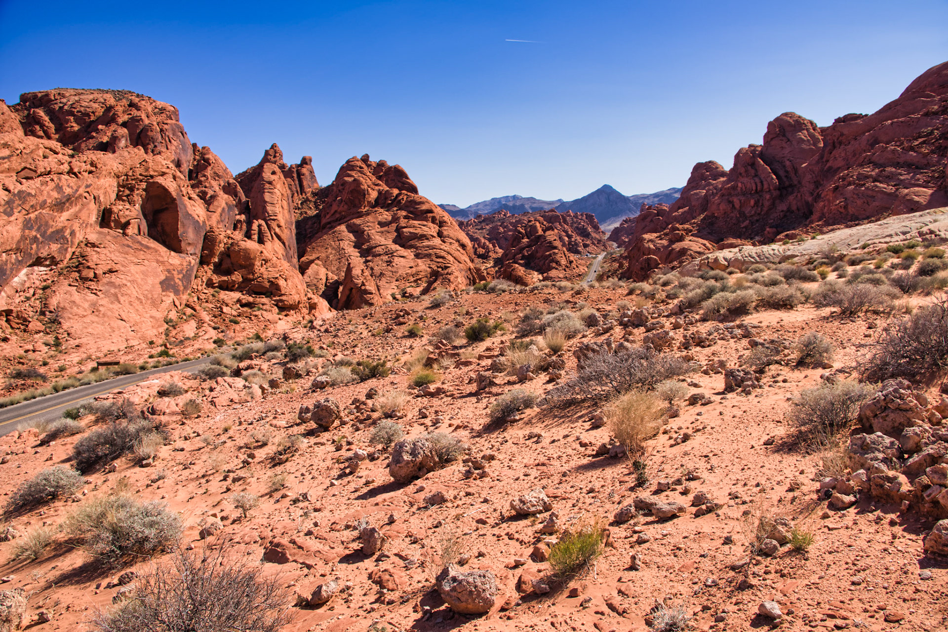 NV Desert 00122