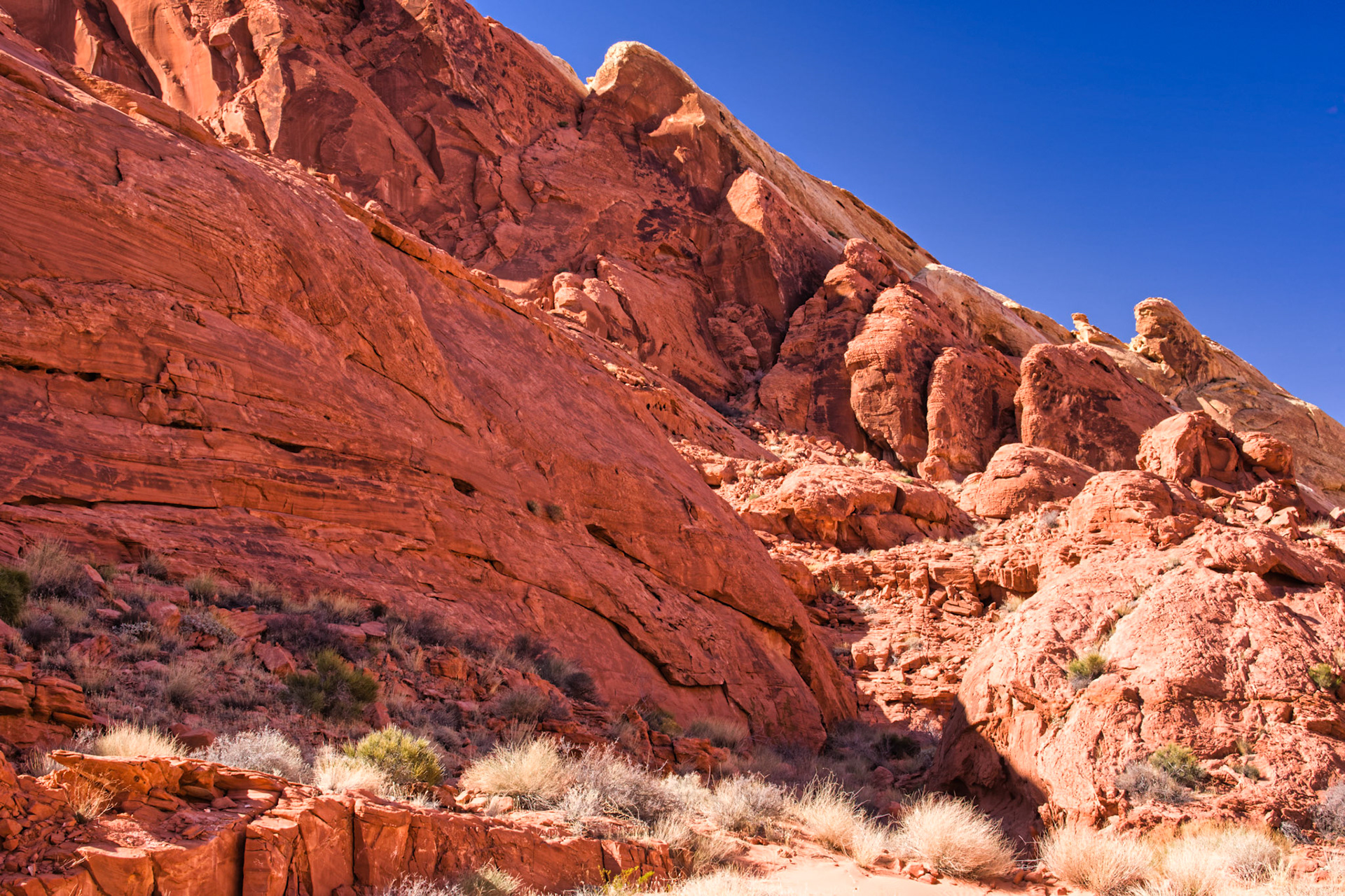 NV Desert 00140