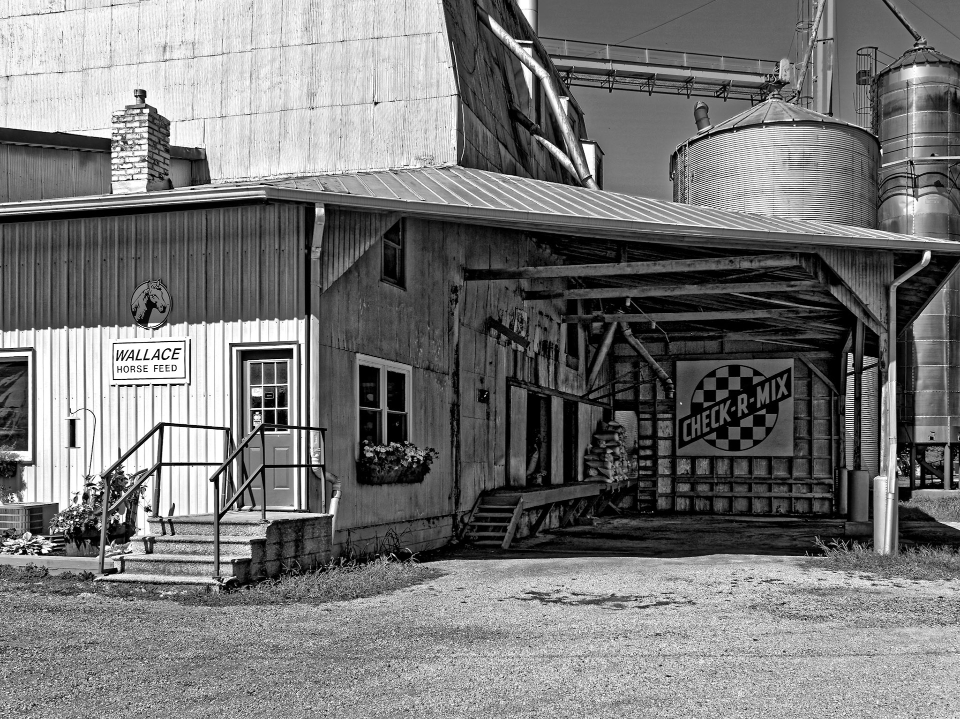 Black & White 00230