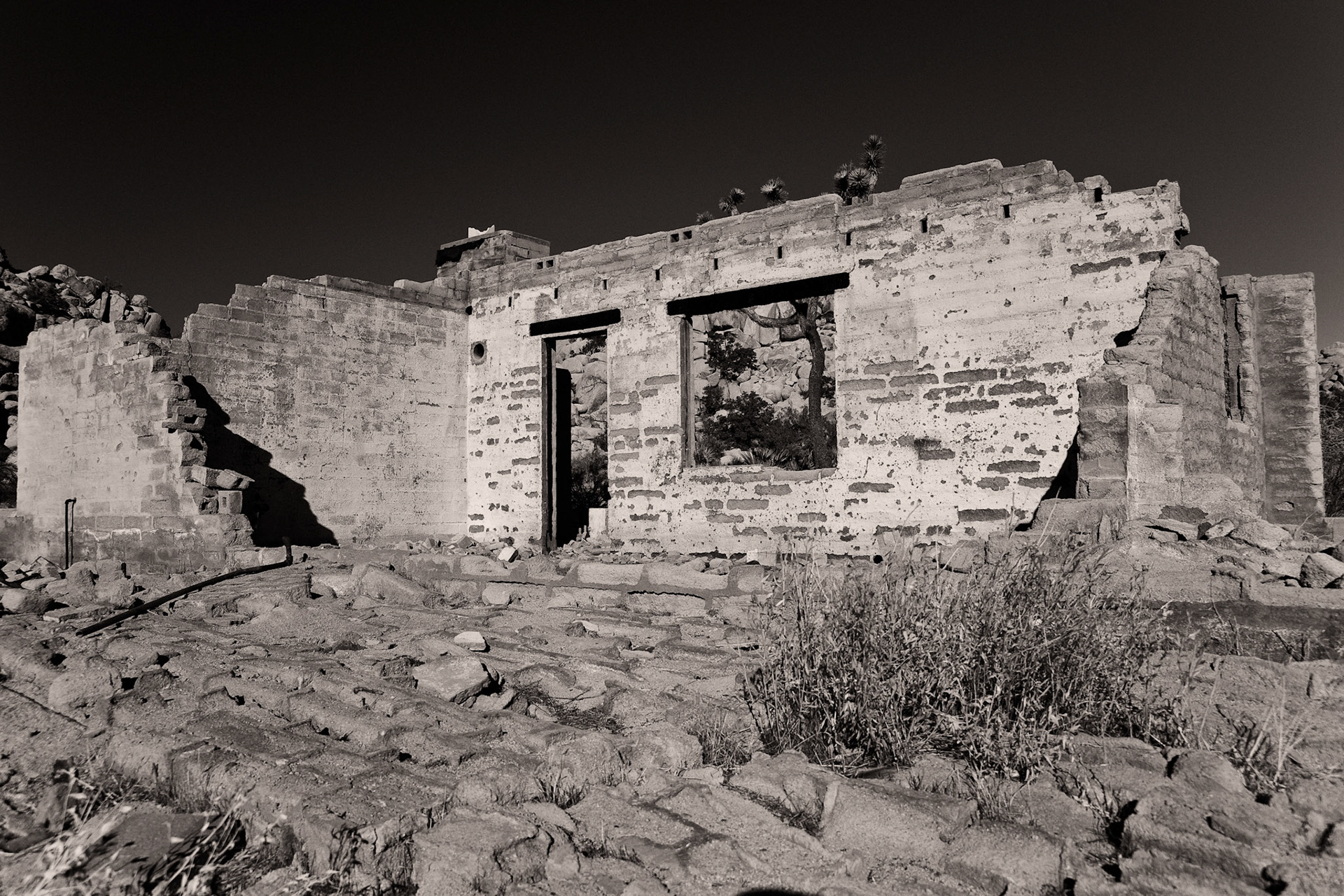 Black & White 00108