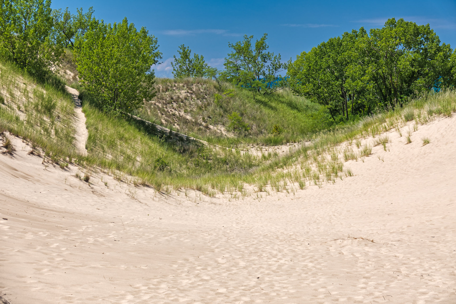 MI Dunes 00050