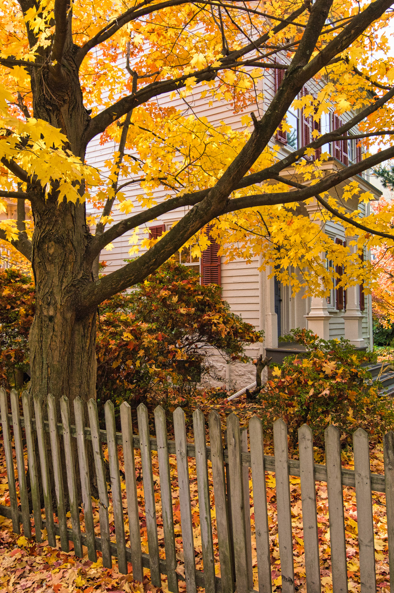 NJ Princeton 00027
