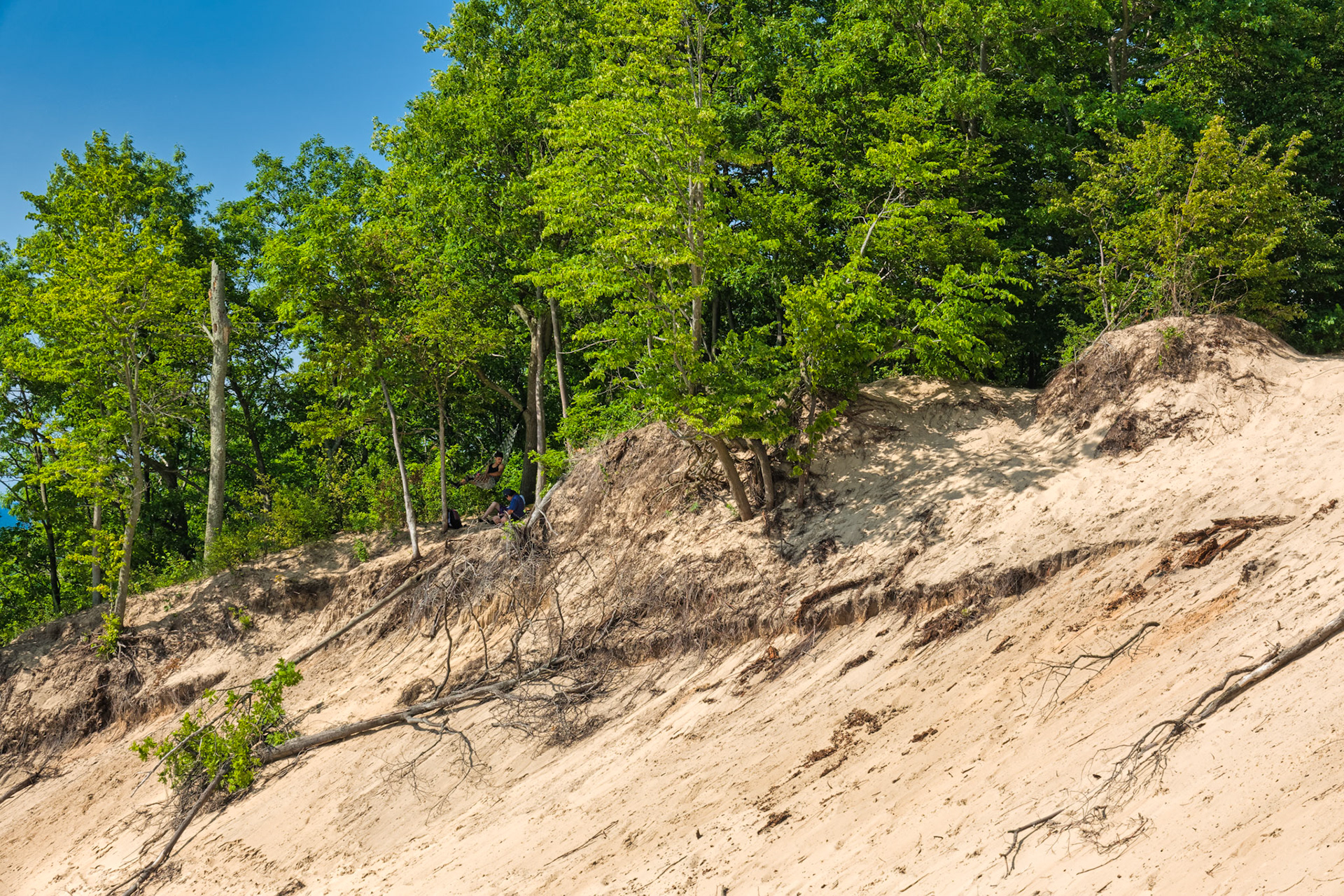 MI Dunes 00097
