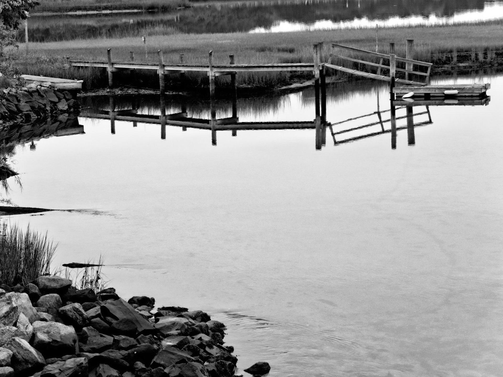 Black & White 00232