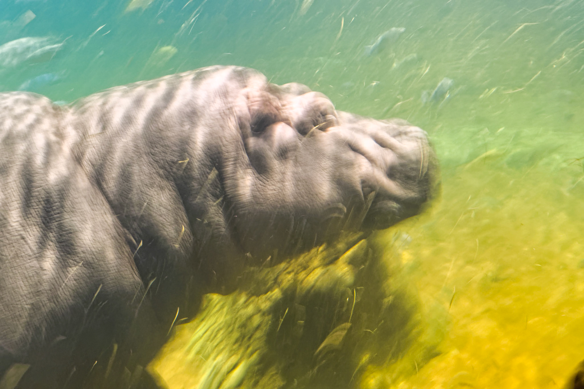 NJ Aquarium 00020