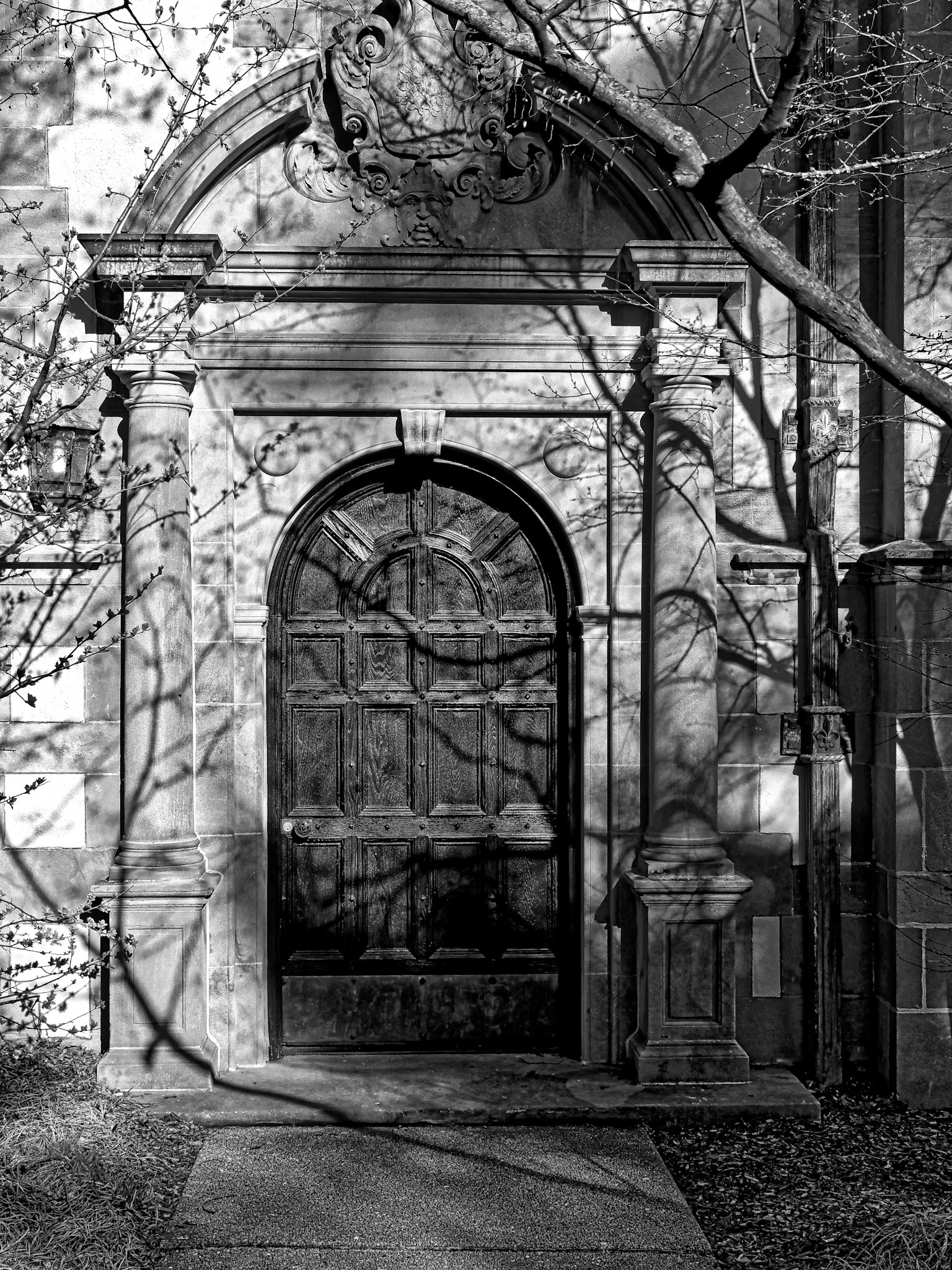 Black & White 00034