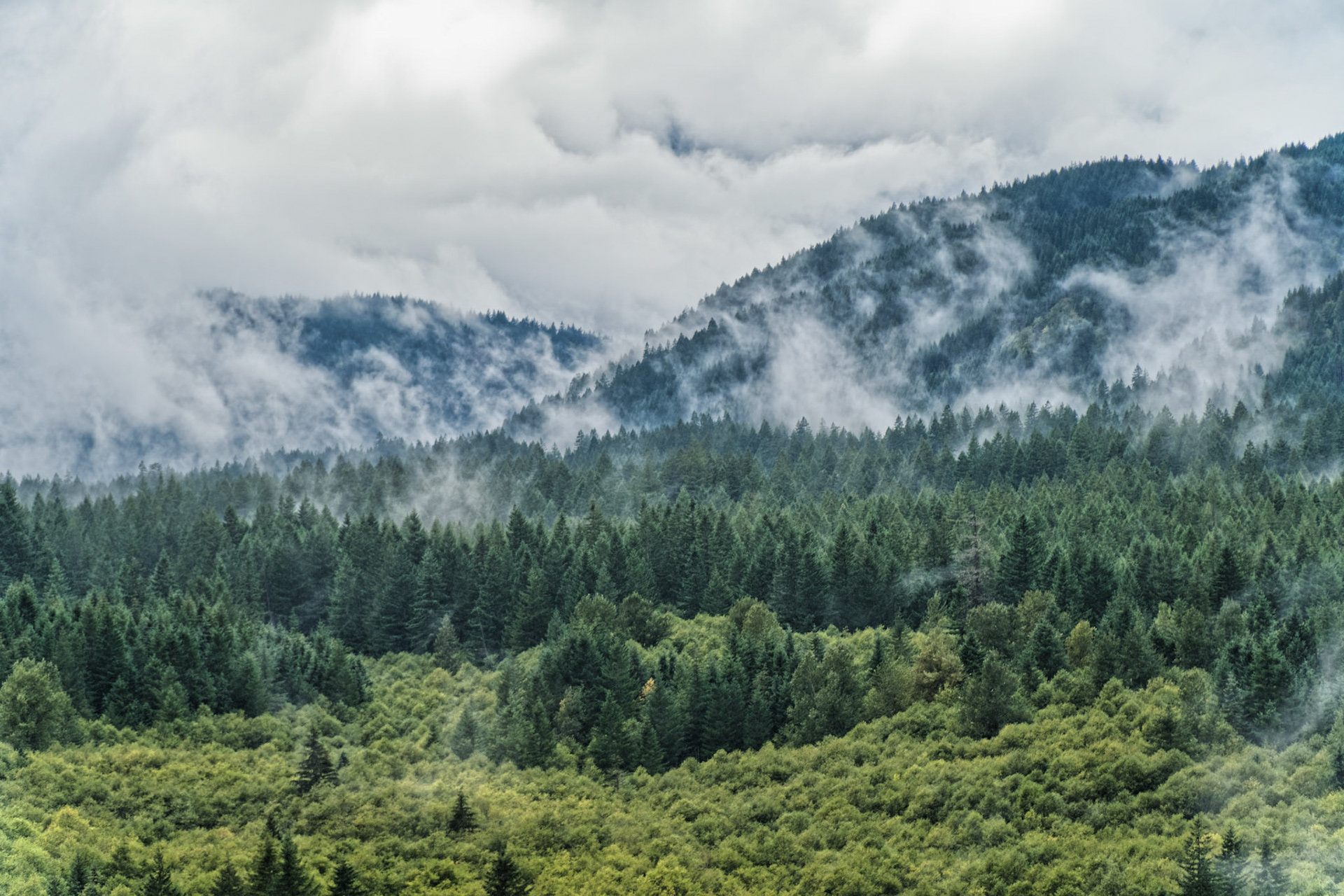 OR Mt Hood 00017