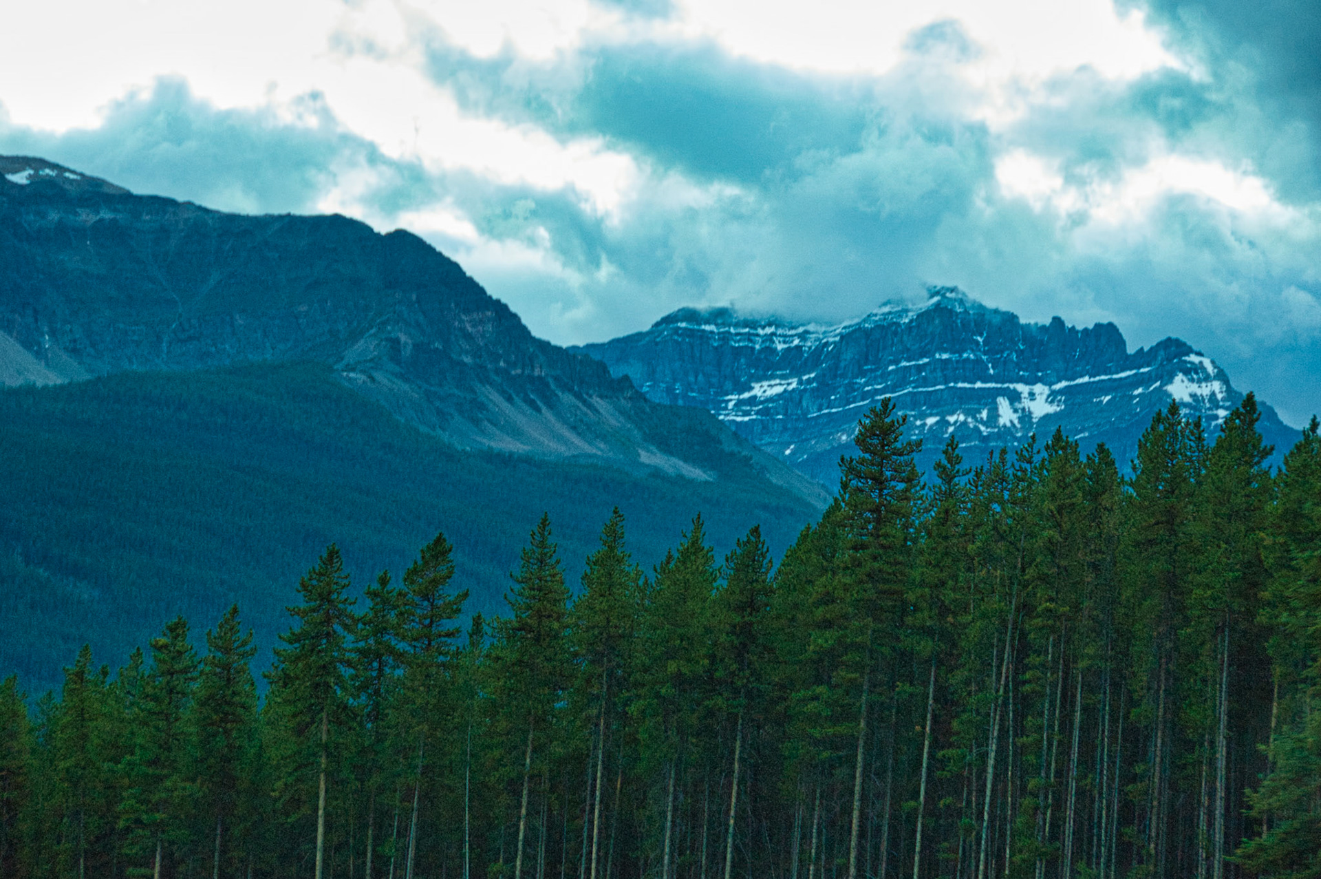 Canada Alberta 00135
