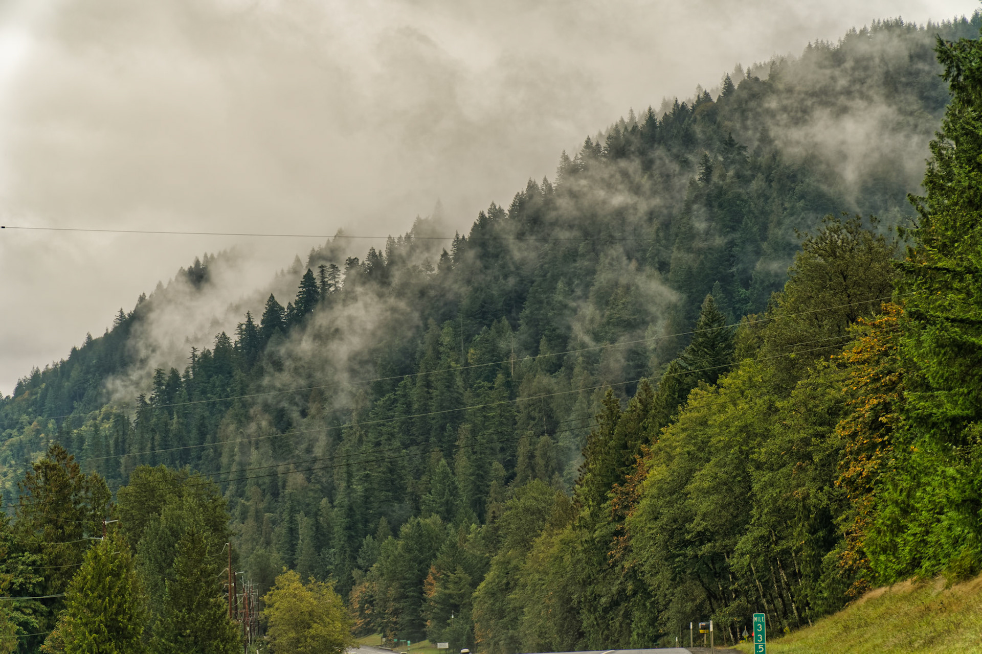 OR Mt Hood 00002