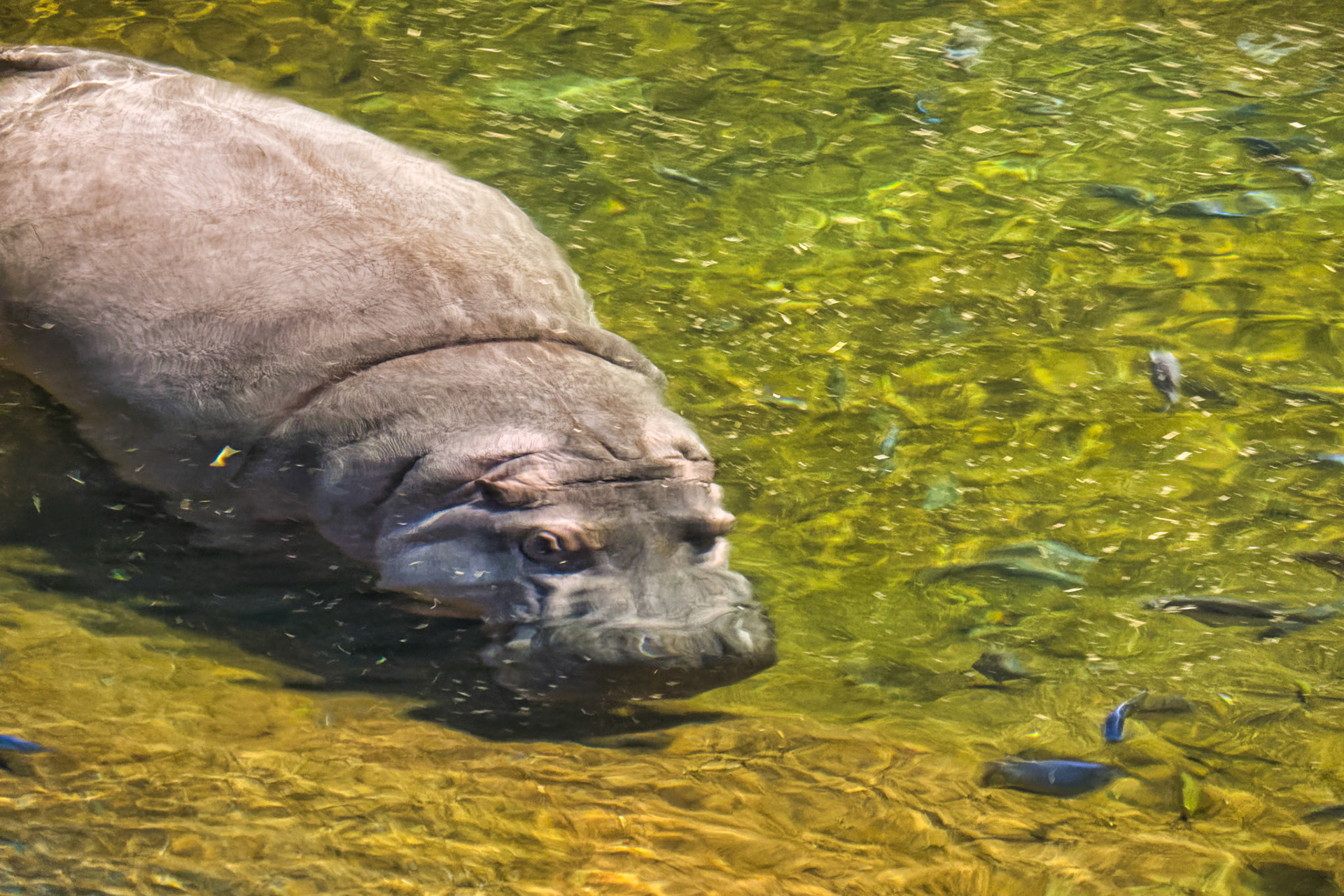 NJ Aquarium 00010