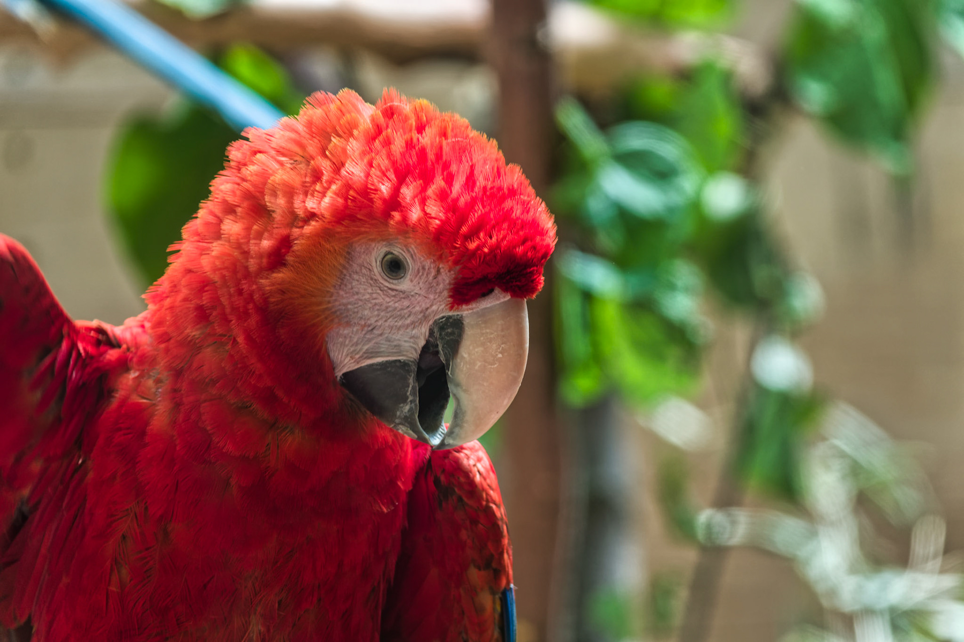 IN Zoo 00143