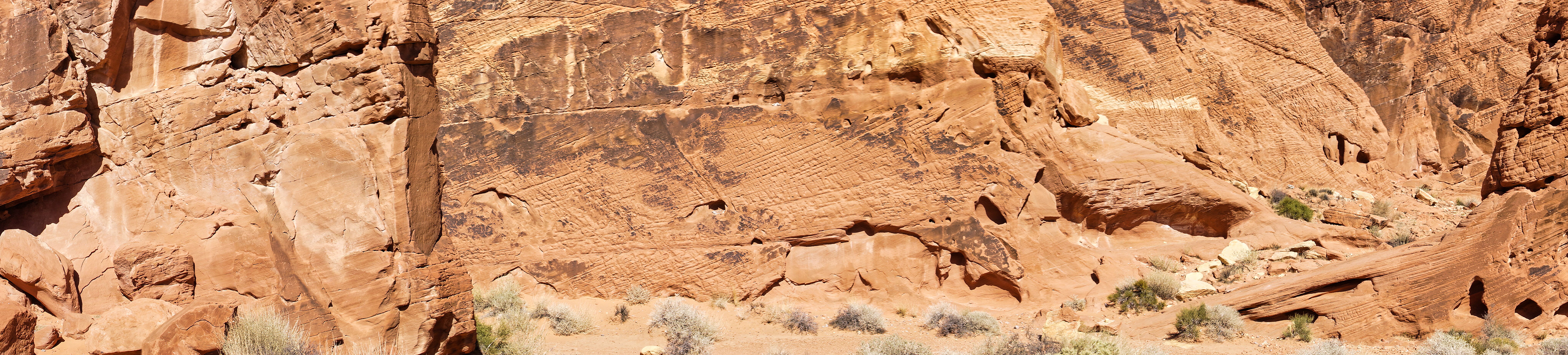 NV Desert 00131